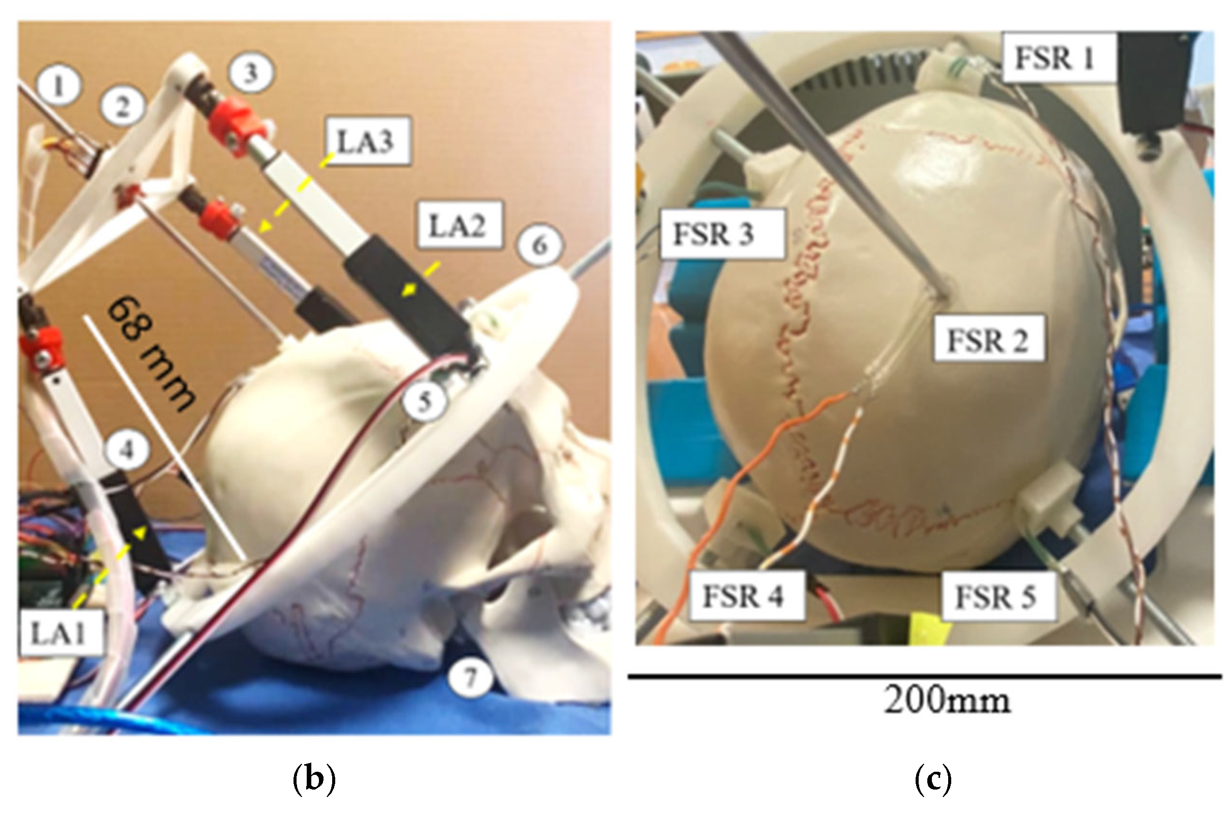 Biomimetics 10 00345 g005b