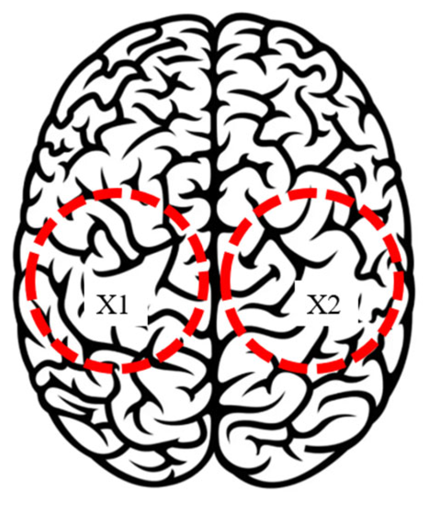 Biomimetics 10 00345 g008