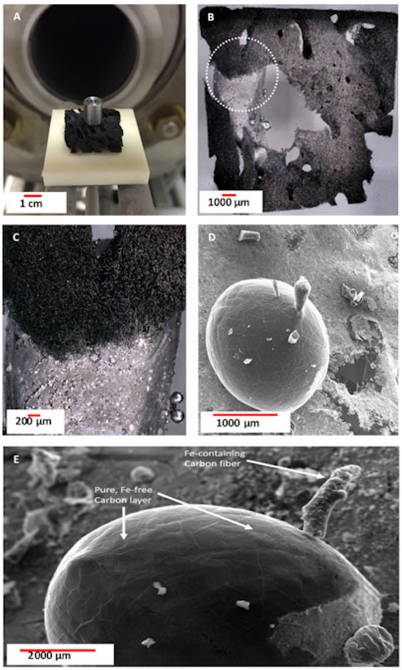 Biomimetics 10 00350 g003