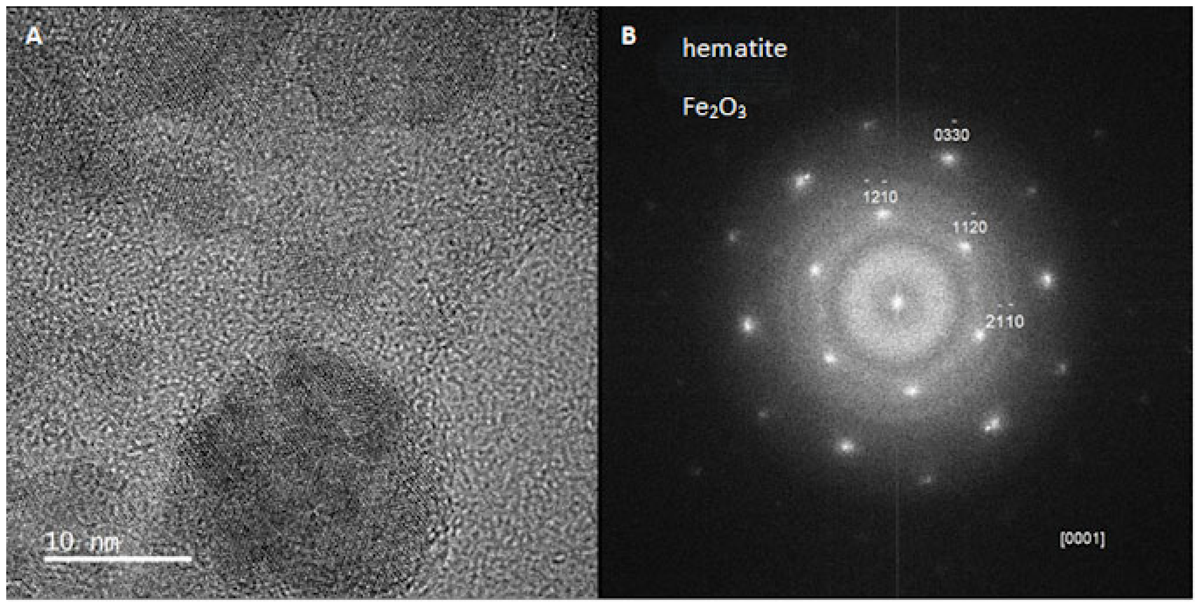 Biomimetics 10 00350 g004