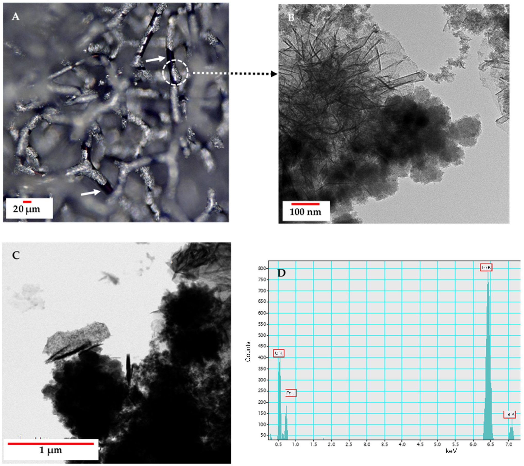 Biomimetics 10 00350 g006
