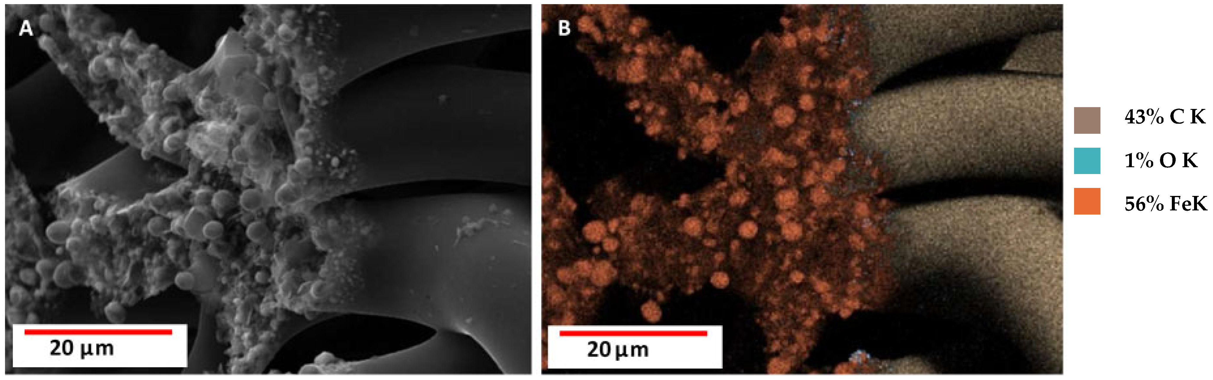 Biomimetics 10 00350 g009