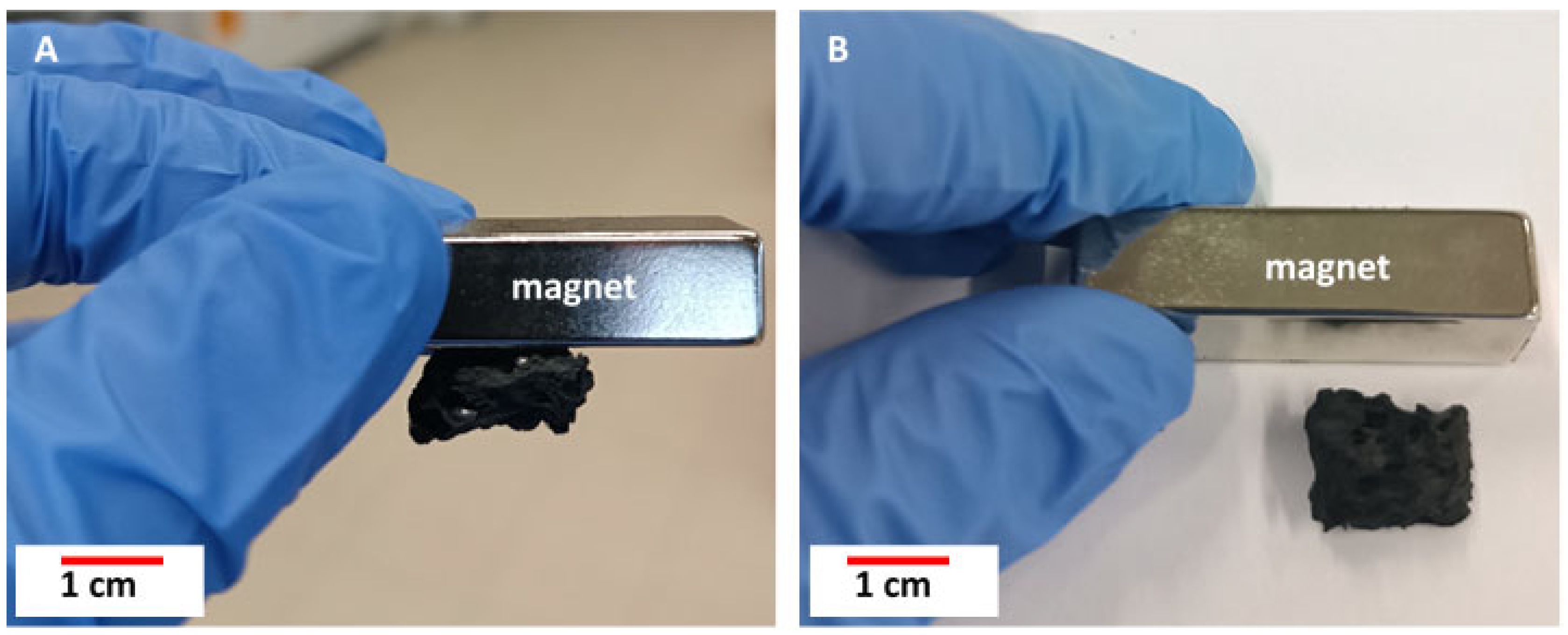 Biomimetics 10 00350 g013