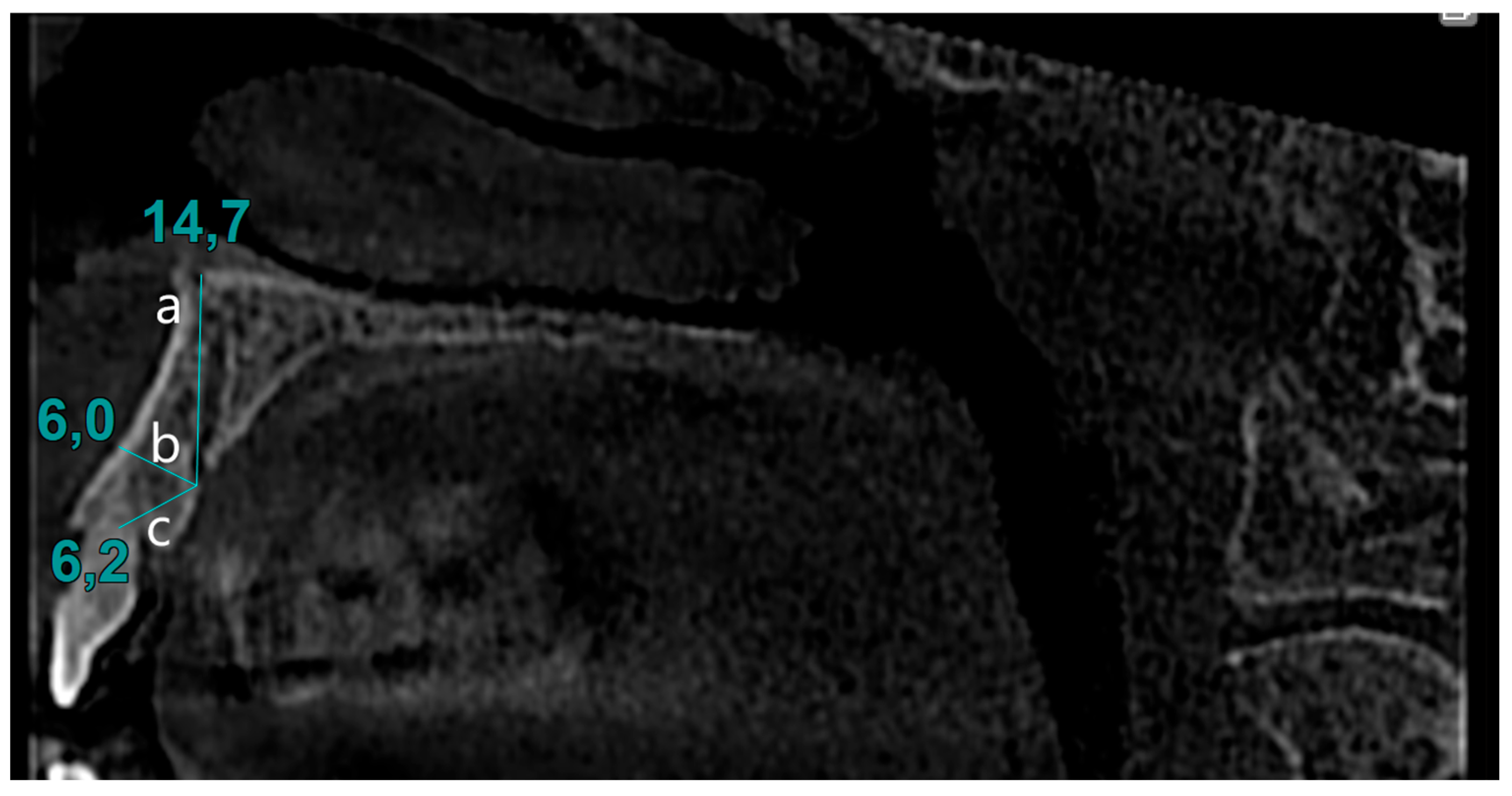 Biomimetics 10 00352 g002