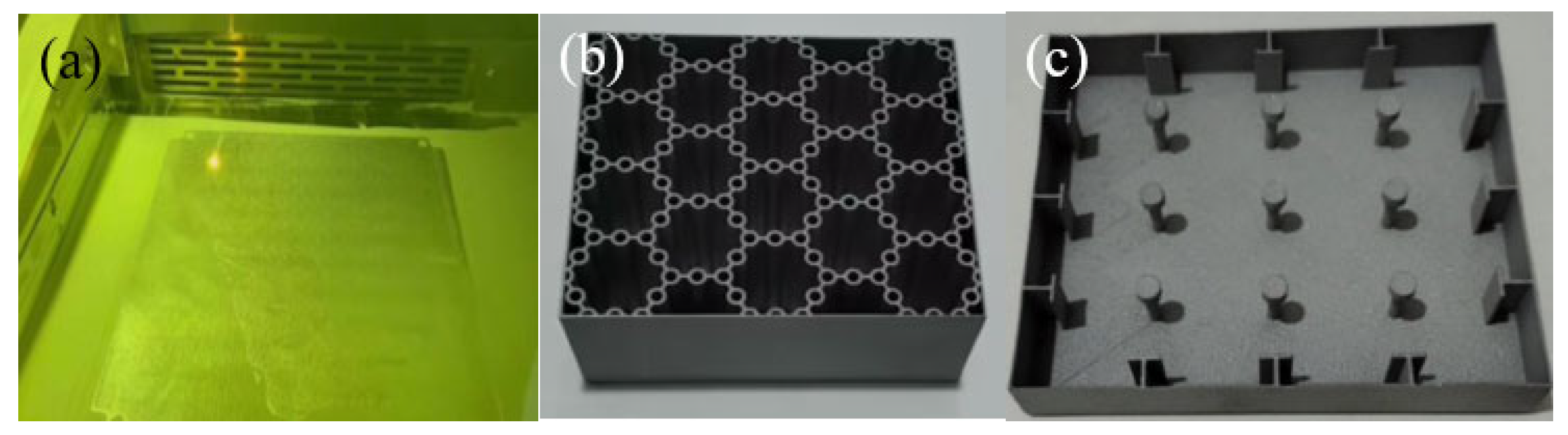 Biomimetics 10 00355 g001