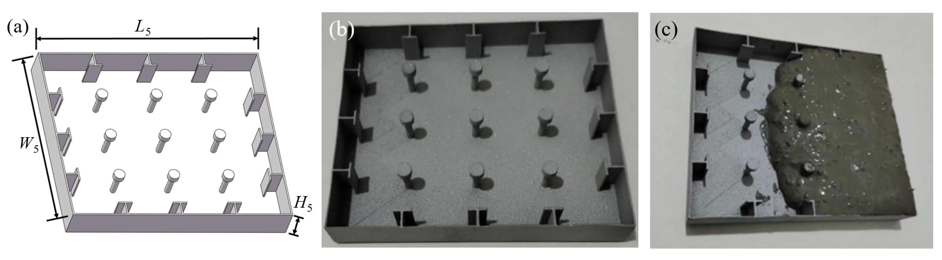 Biomimetics 10 00355 g006