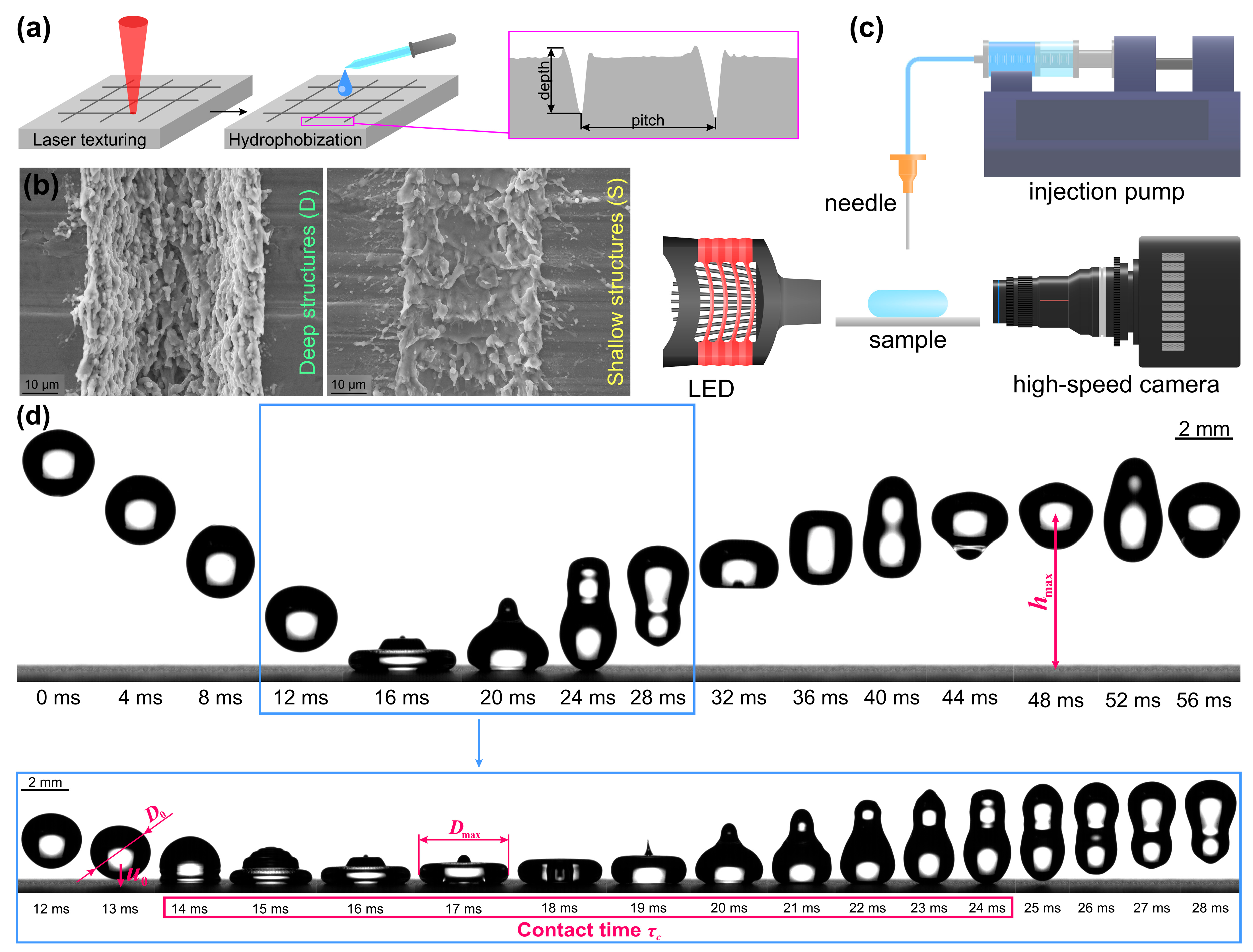 Biomimetics 10 00357 g001