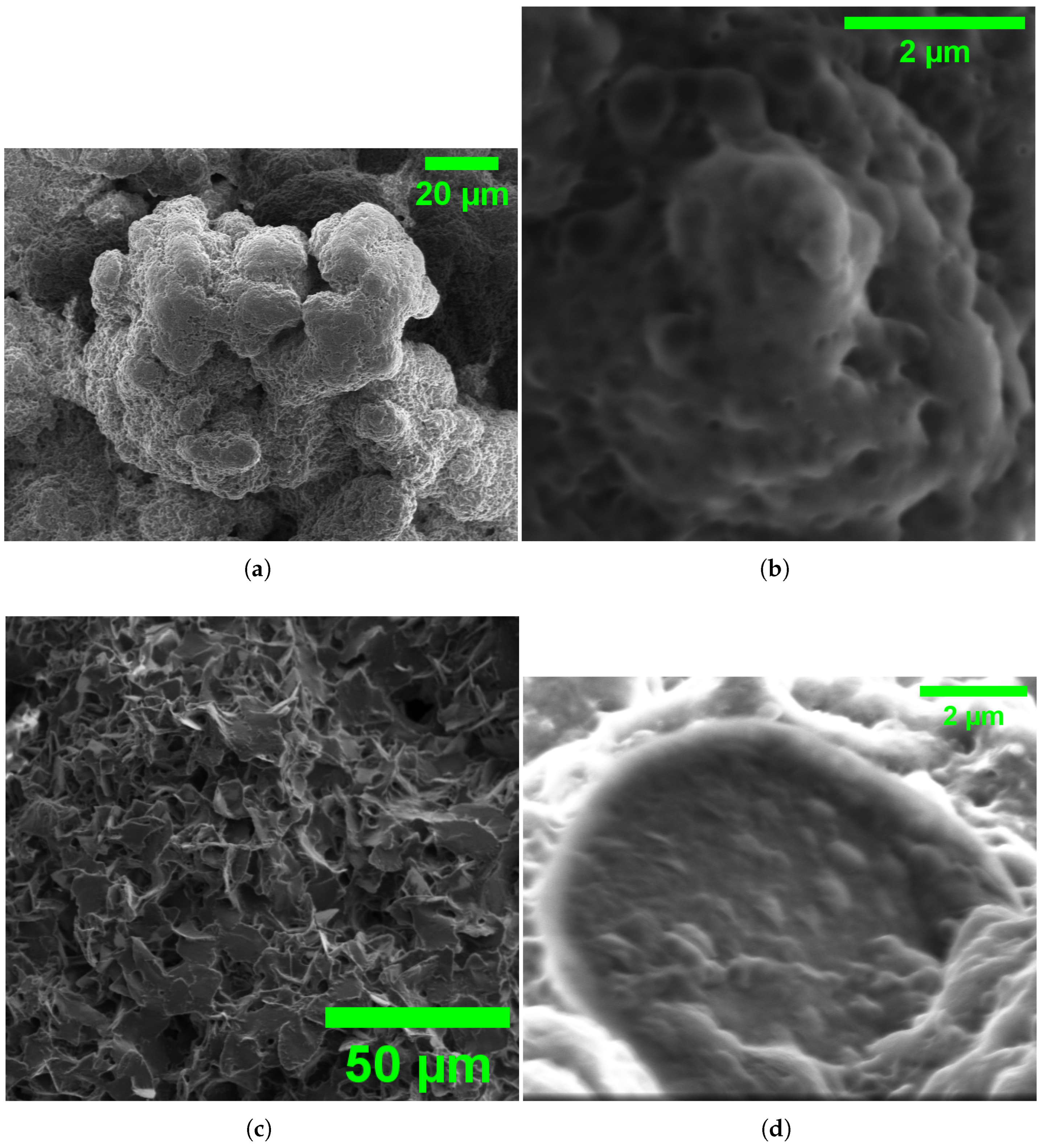 Biomimetics 10 00360 g011
