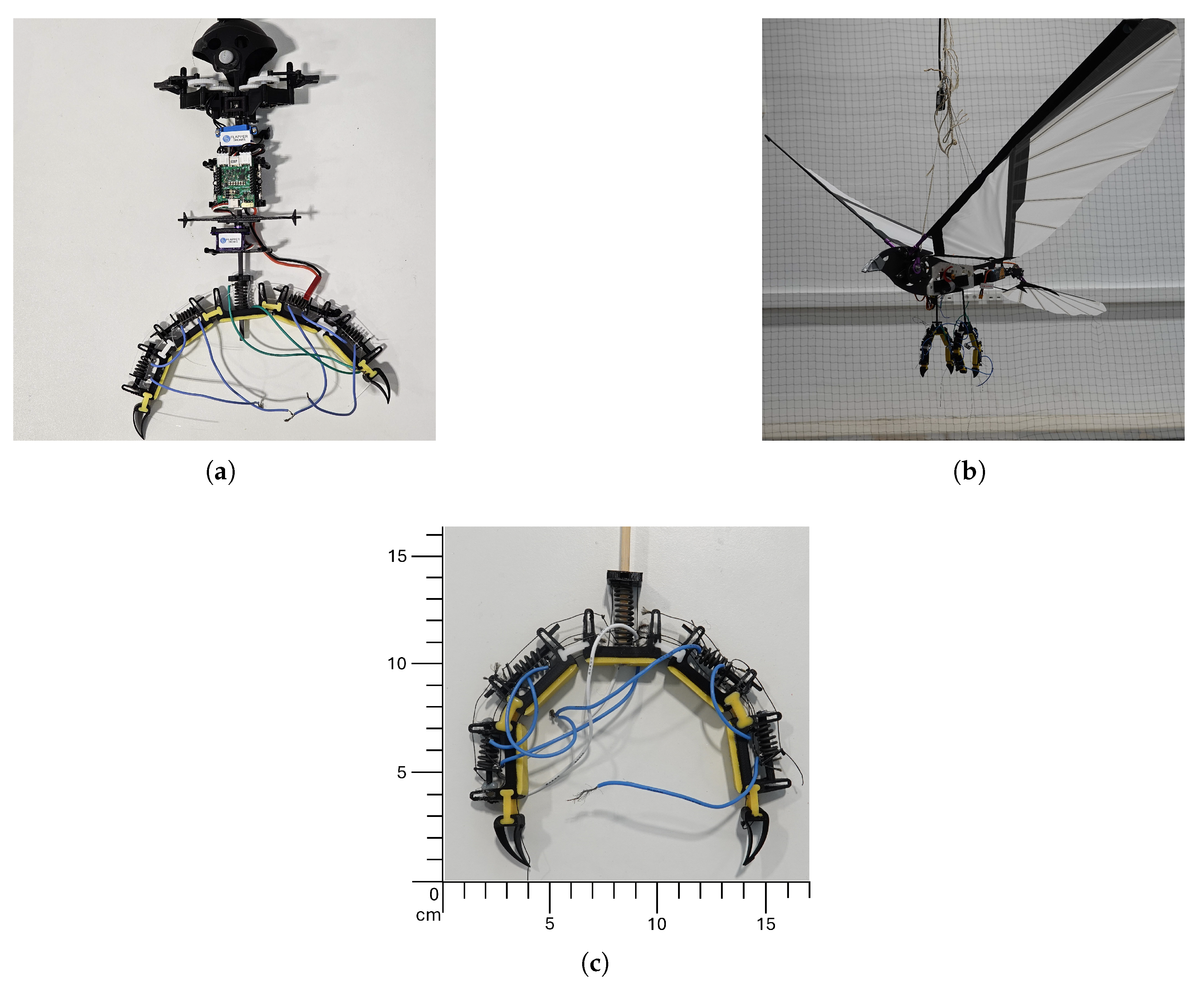 Biomimetics 10 00364 g001