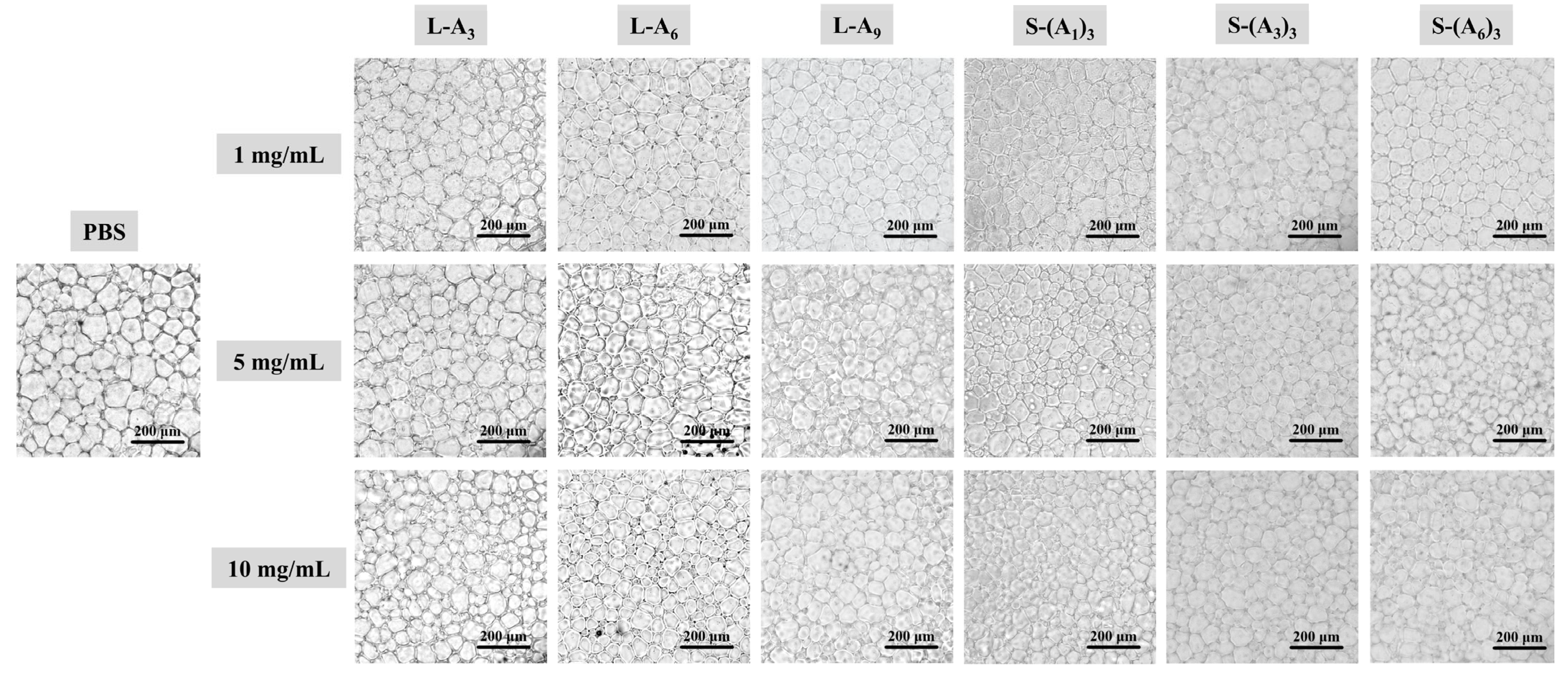 Biomimetics 10 00368 g001