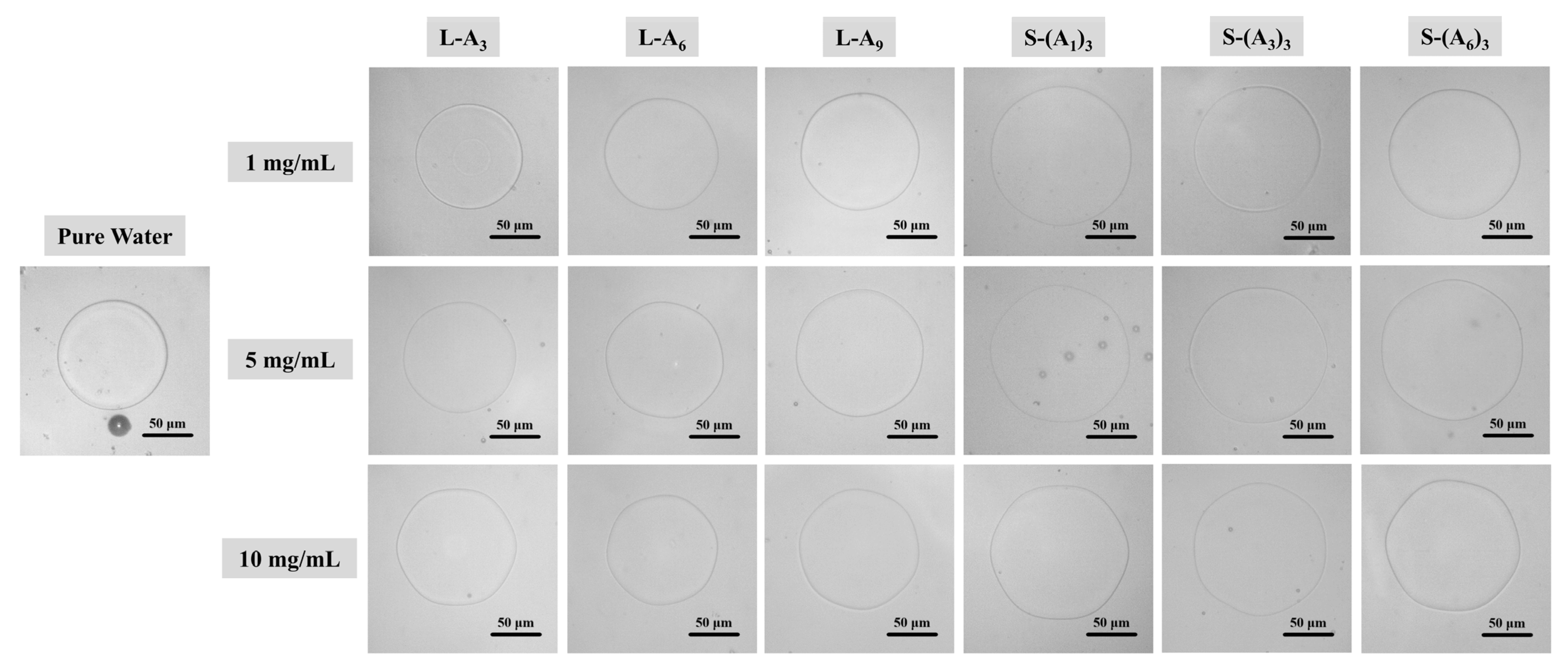 Biomimetics 10 00368 g003