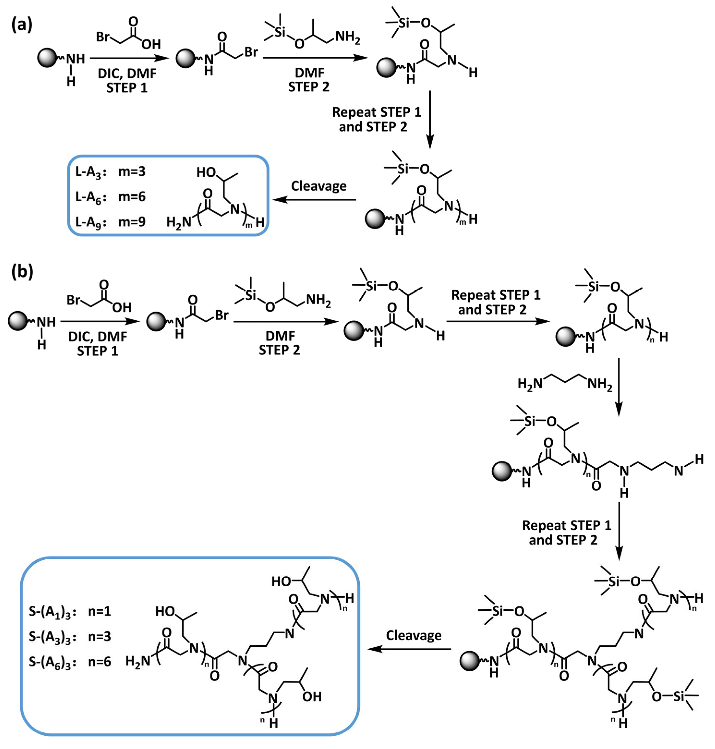 Biomimetics 10 00368 sch001
