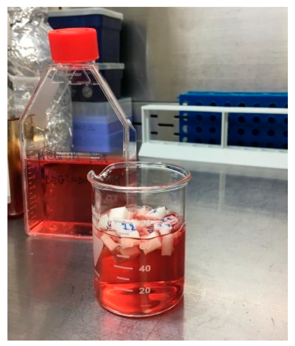 Biomimetics 10 00370 g004