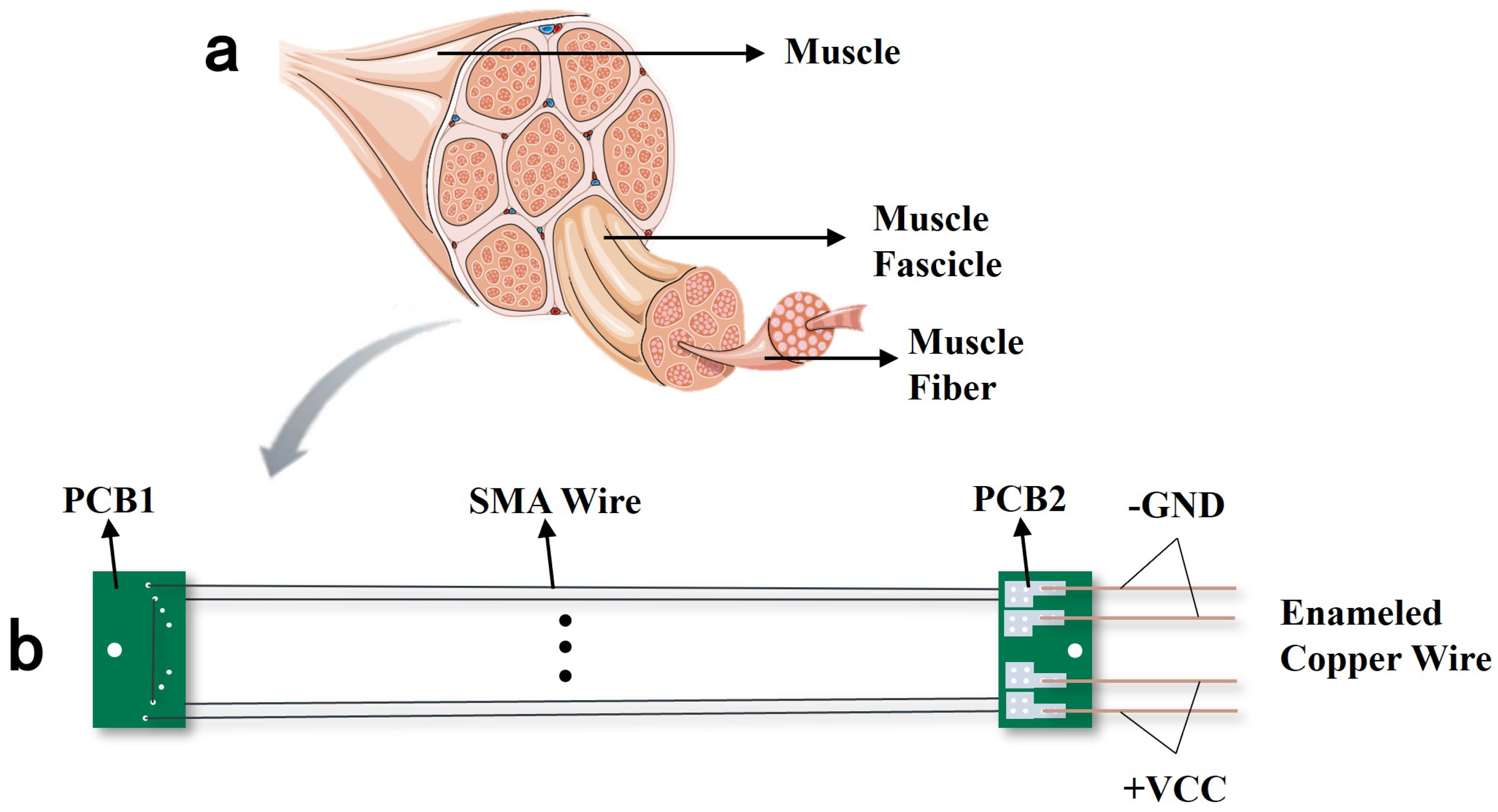 Biomimetics 10 00378 g001