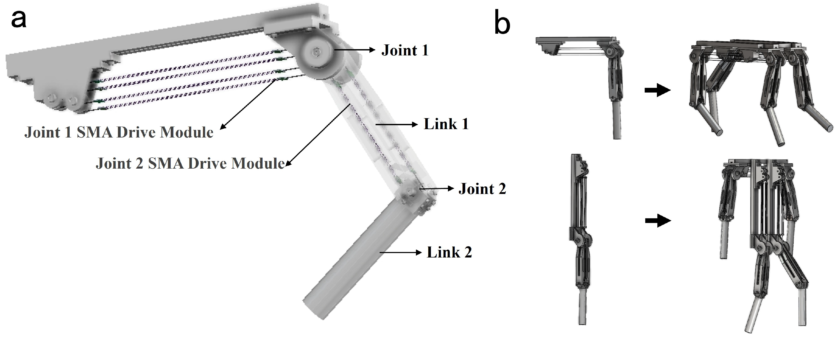 Biomimetics 10 00378 g009