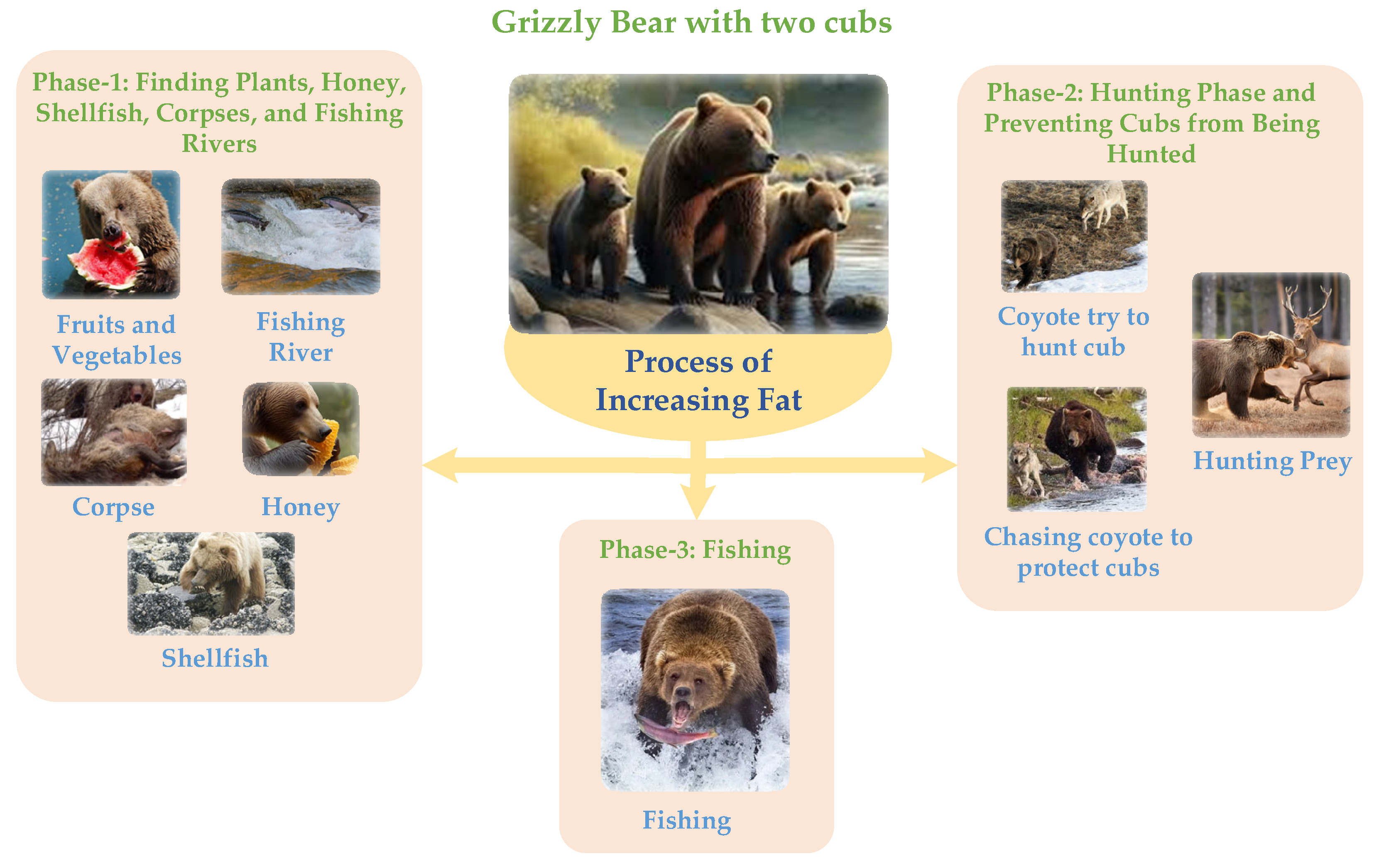 Biomimetics 10 00379 g001