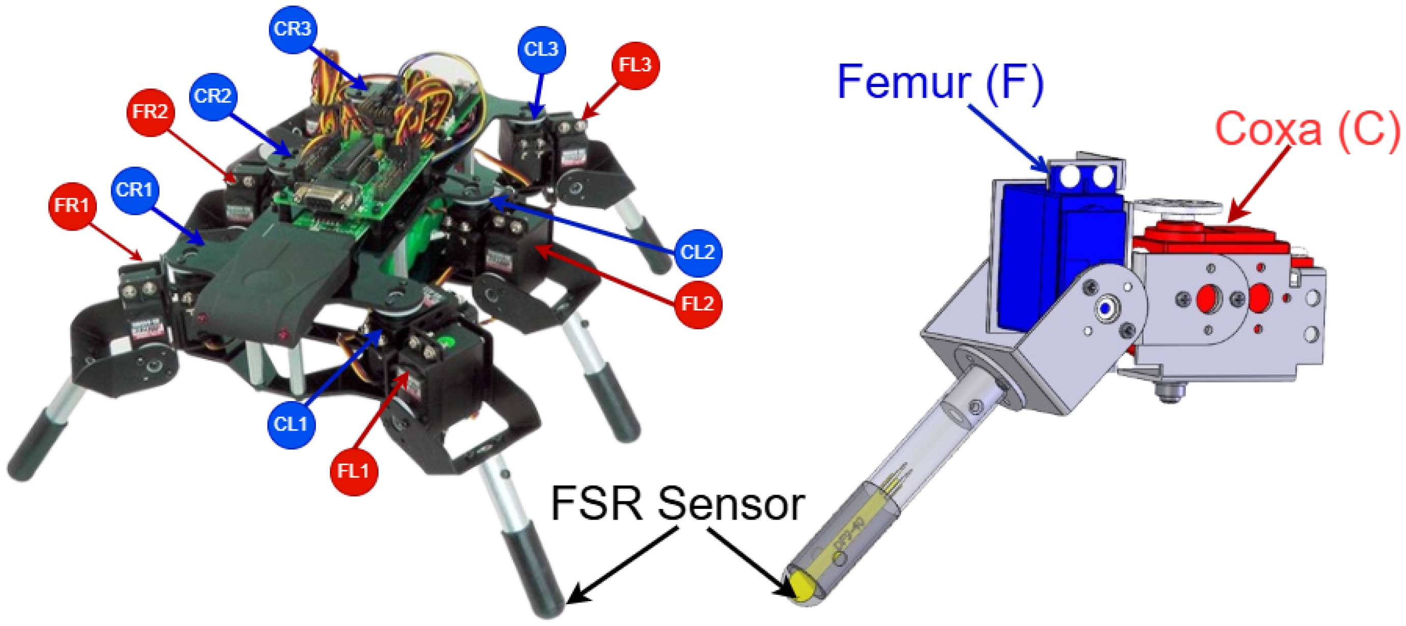 Biomimetics 10 00381 g002