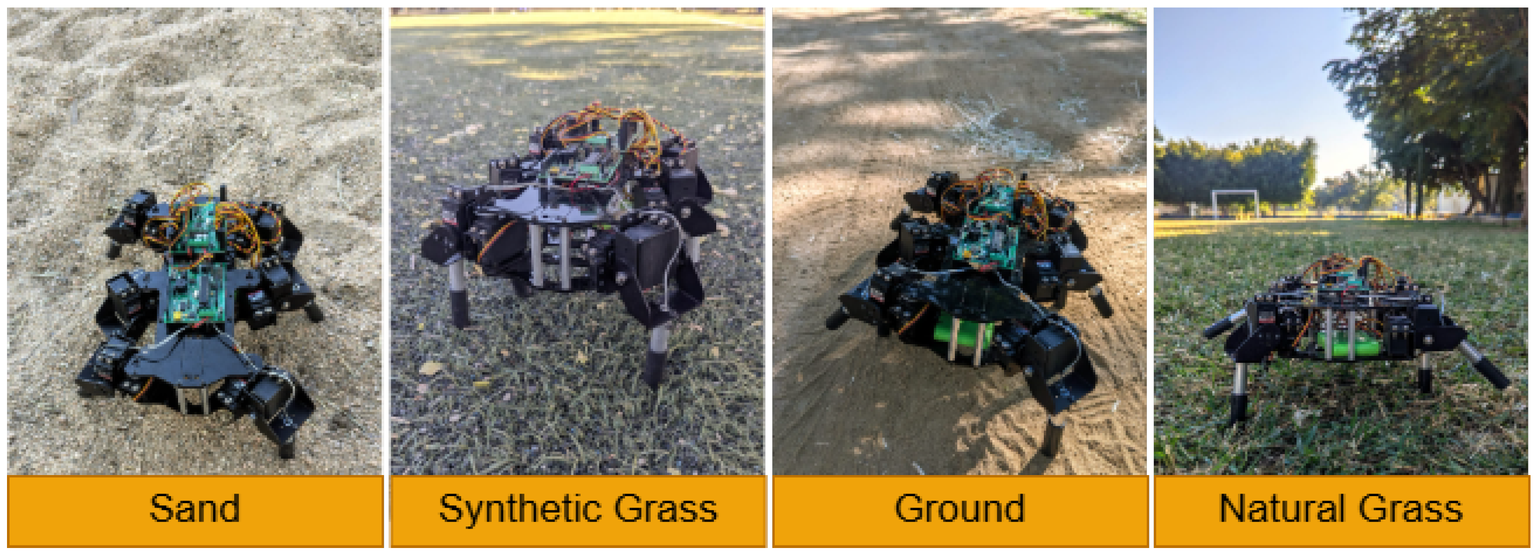 Biomimetics 10 00381 g007