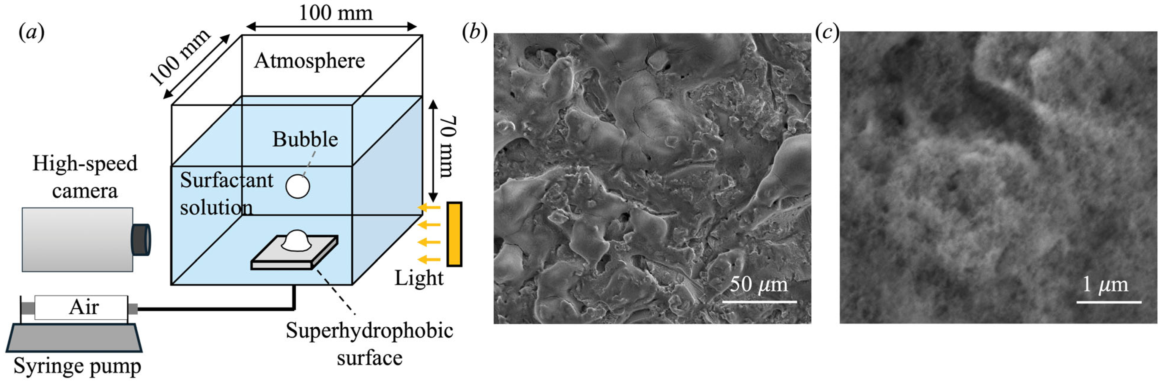 Biomimetics 10 00382 g001 Biomimetics 10 00382 g001