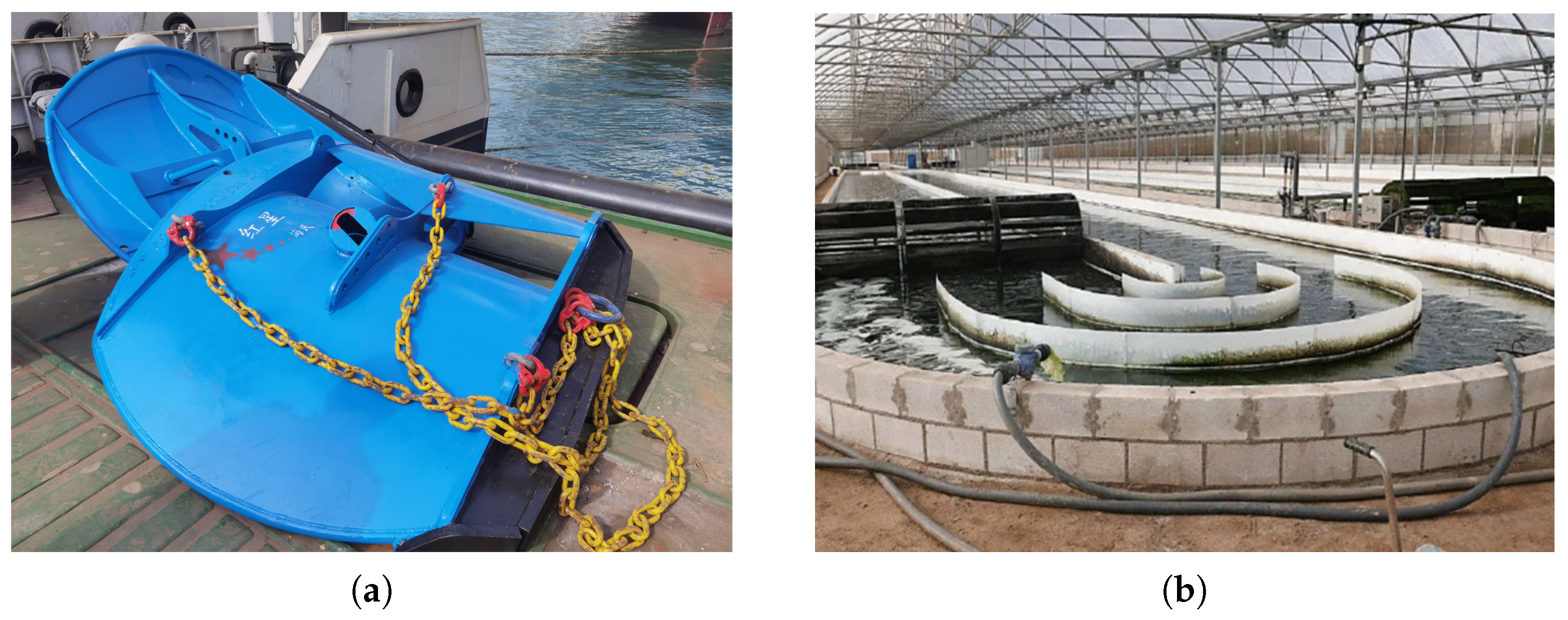 Biomimetics 10 00385 g001