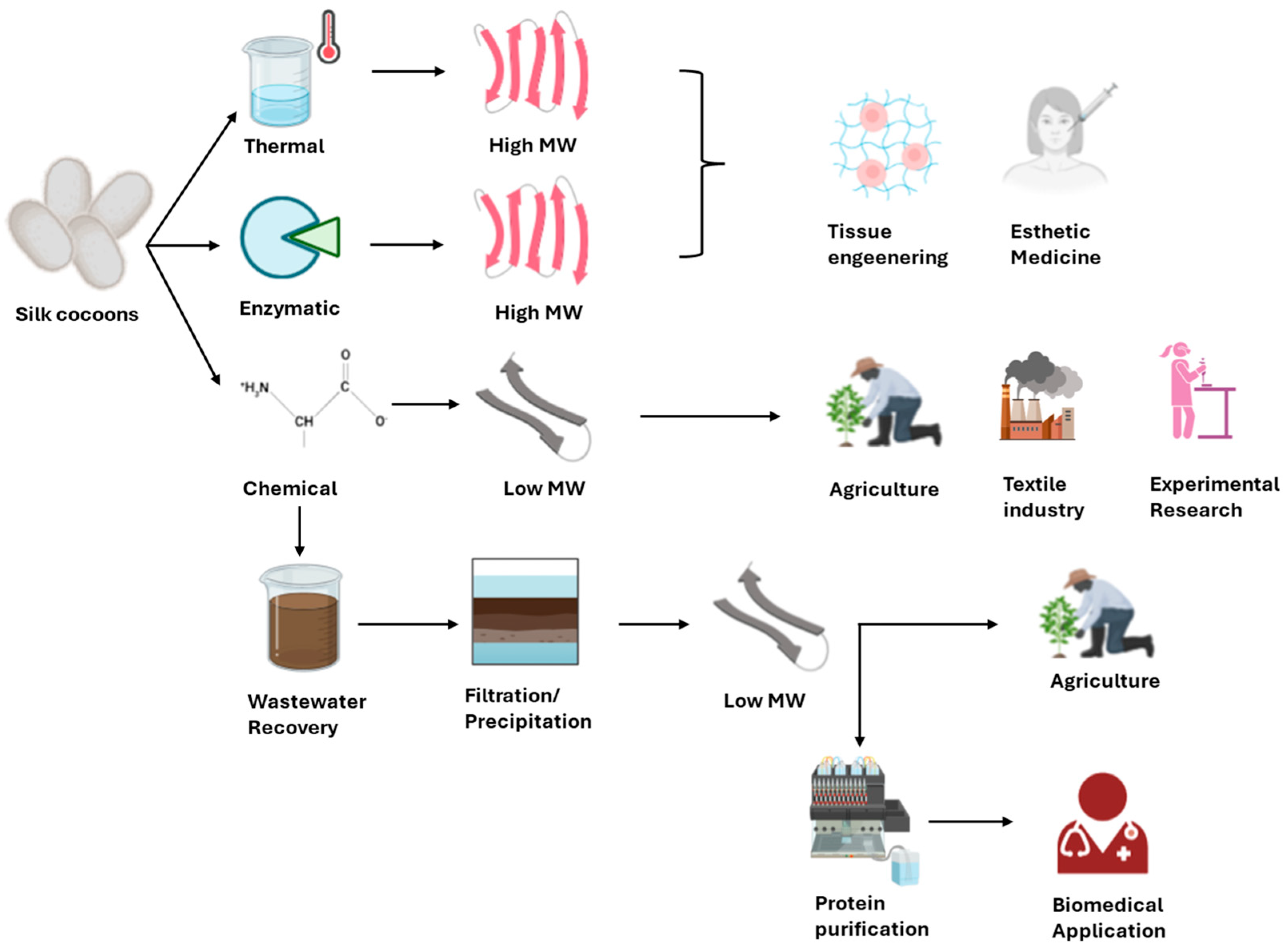 Biomimetics 10 00387 g002