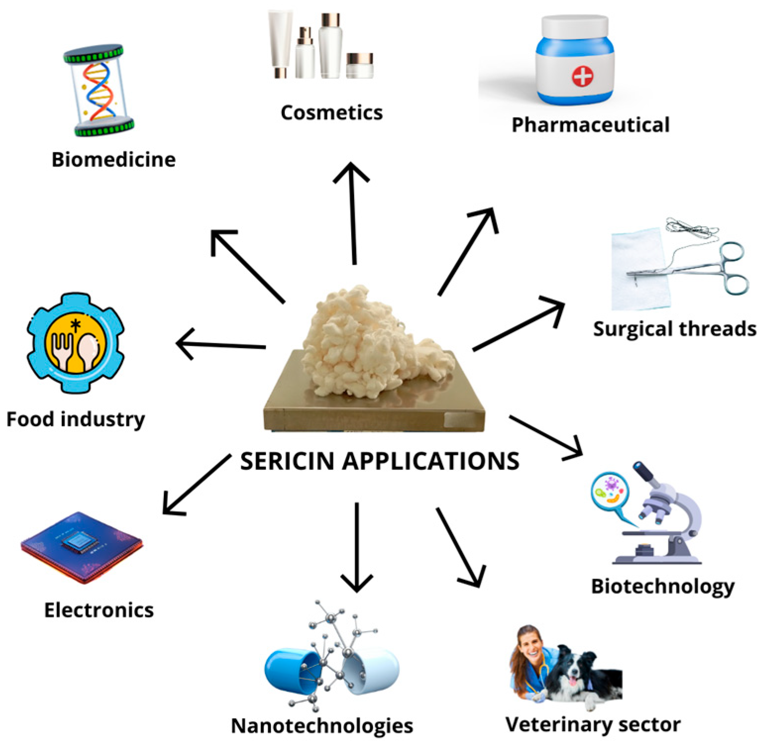 Biomimetics 10 00387 g003