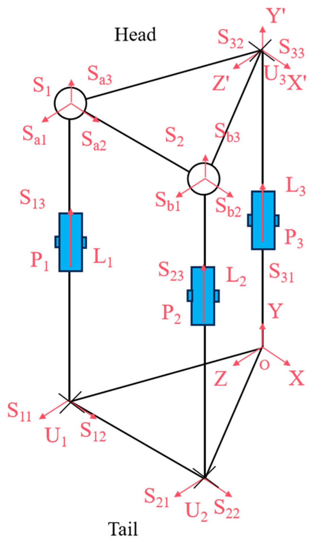 Biomimetics 10 00389 g003