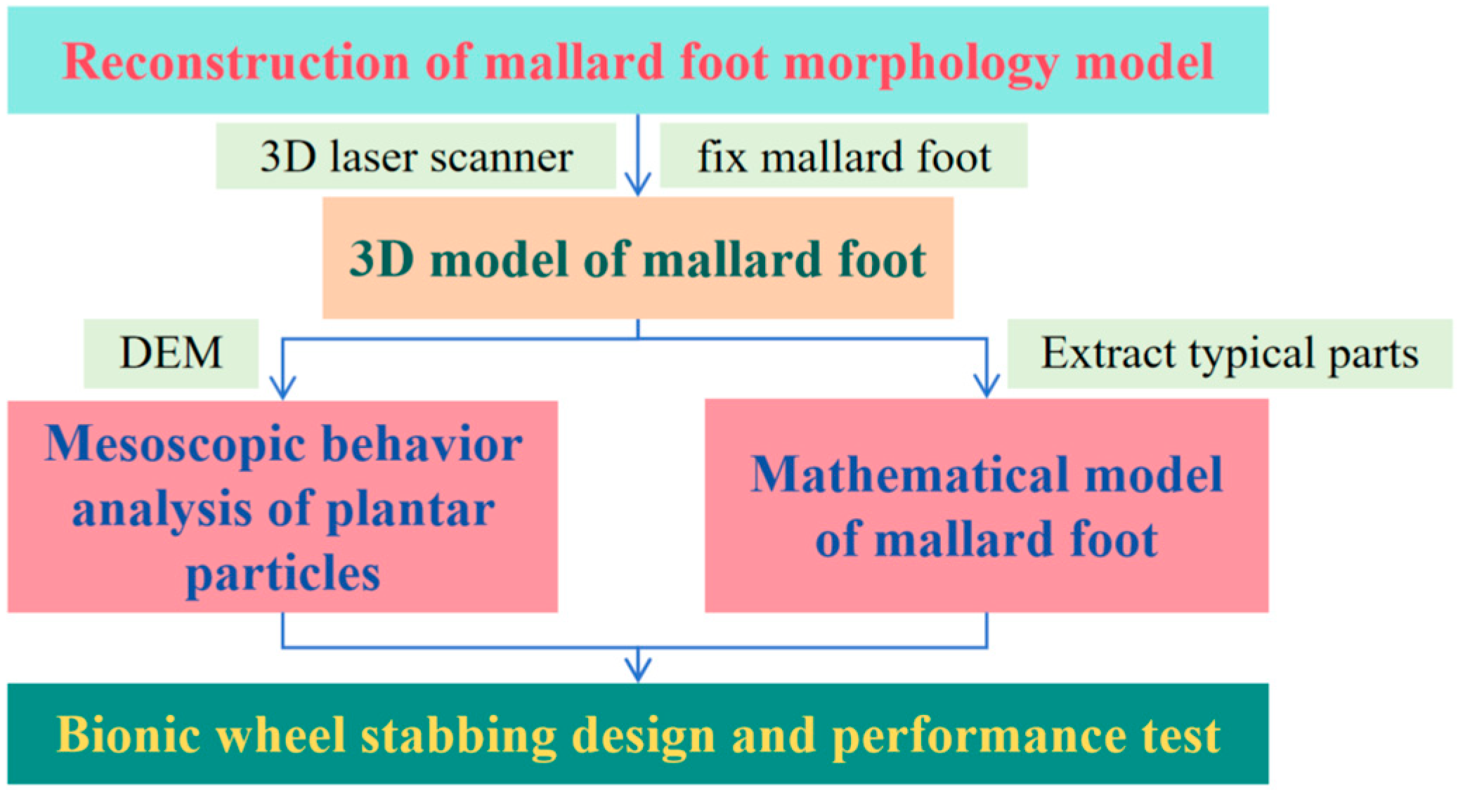 Biomimetics 10 00390 g001