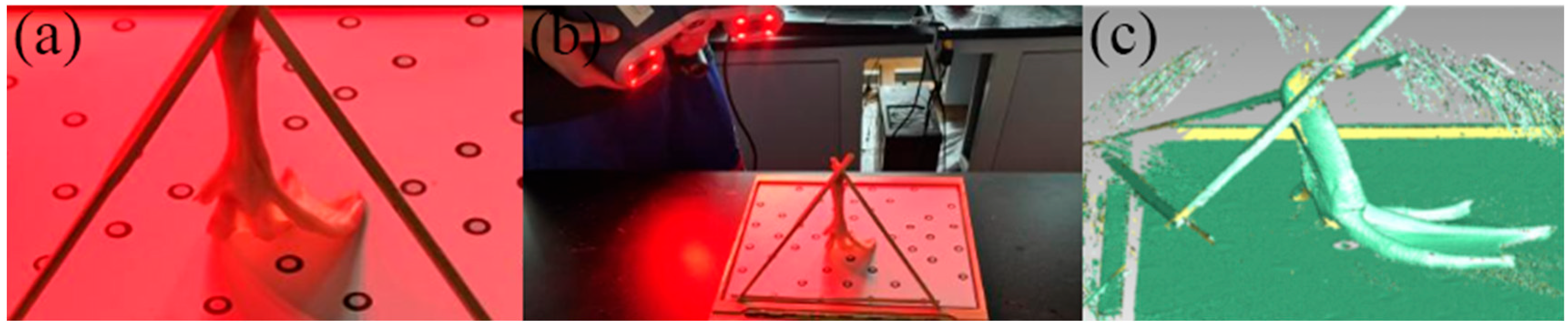 Biomimetics 10 00390 g002