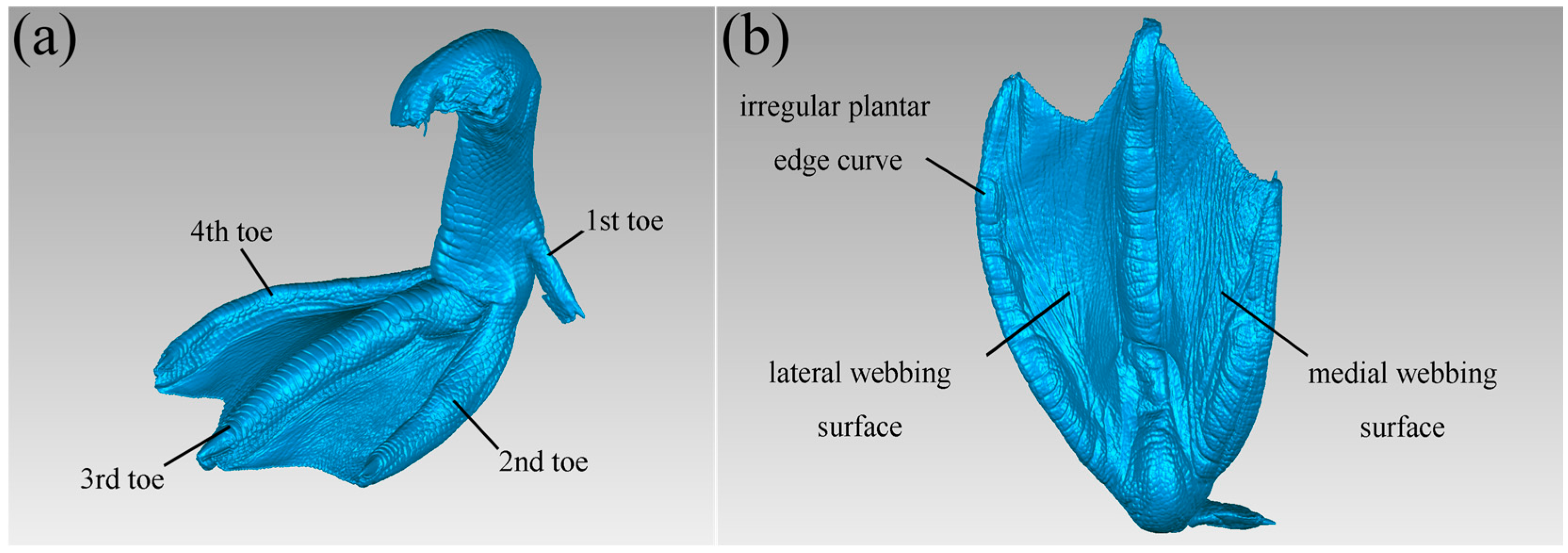 Biomimetics 10 00390 g003