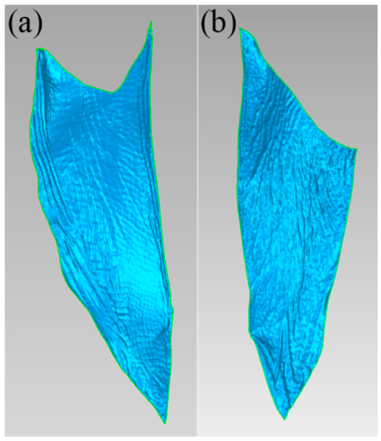 Biomimetics 10 00390 g005