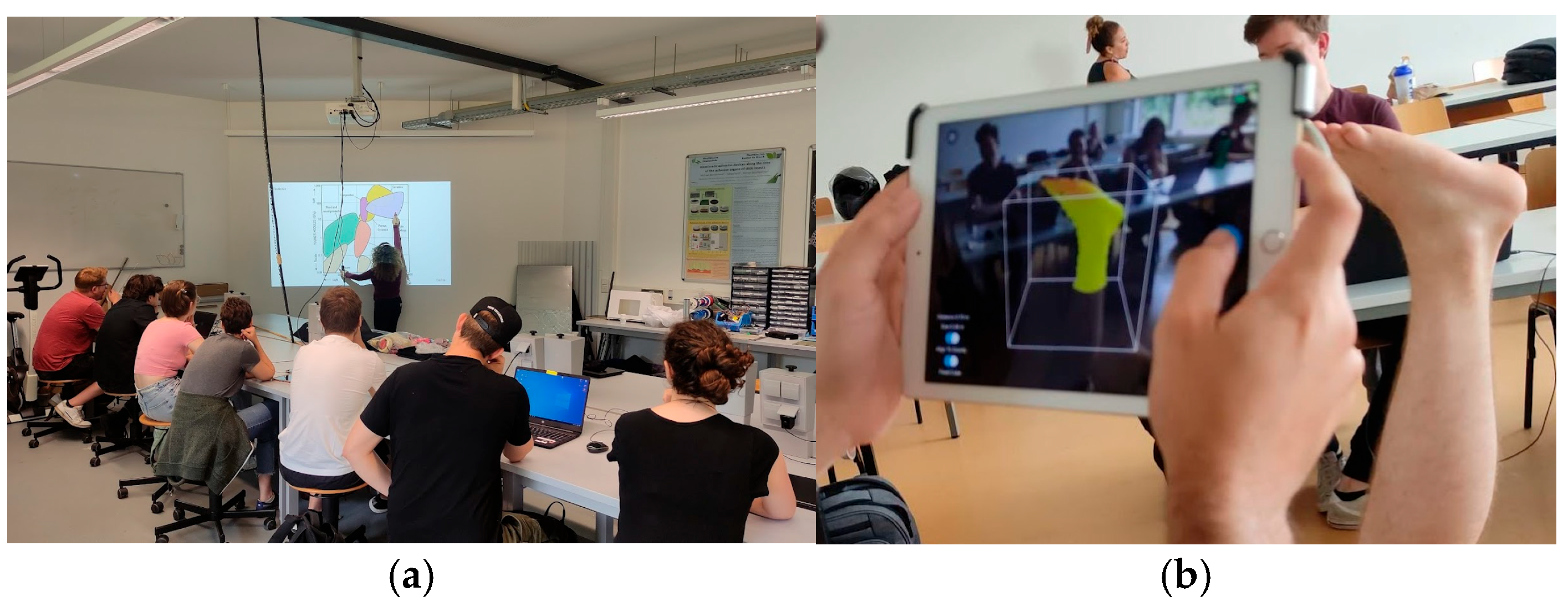 Biomimetics 10 00391 g002