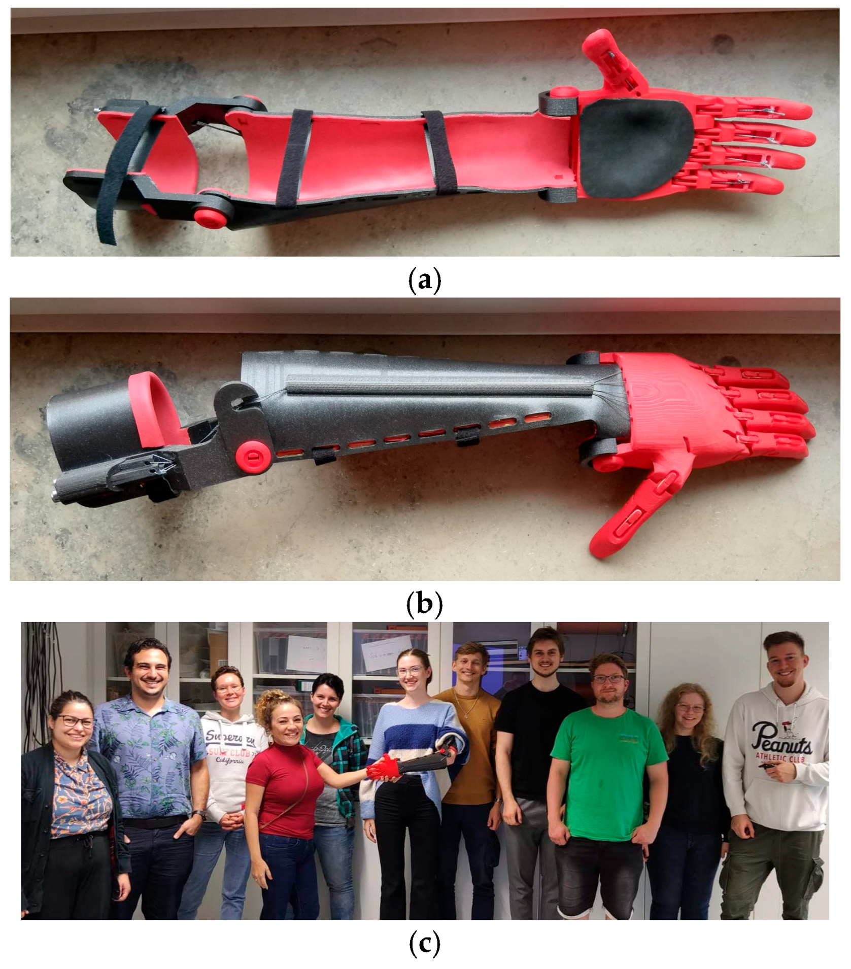 Biomimetics 10 00391 g003