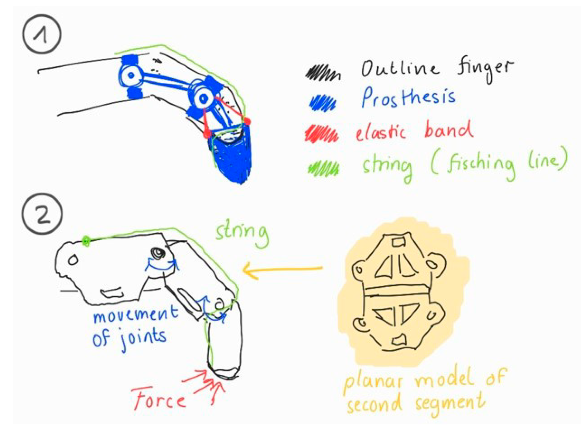 Biomimetics 10 00391 g004