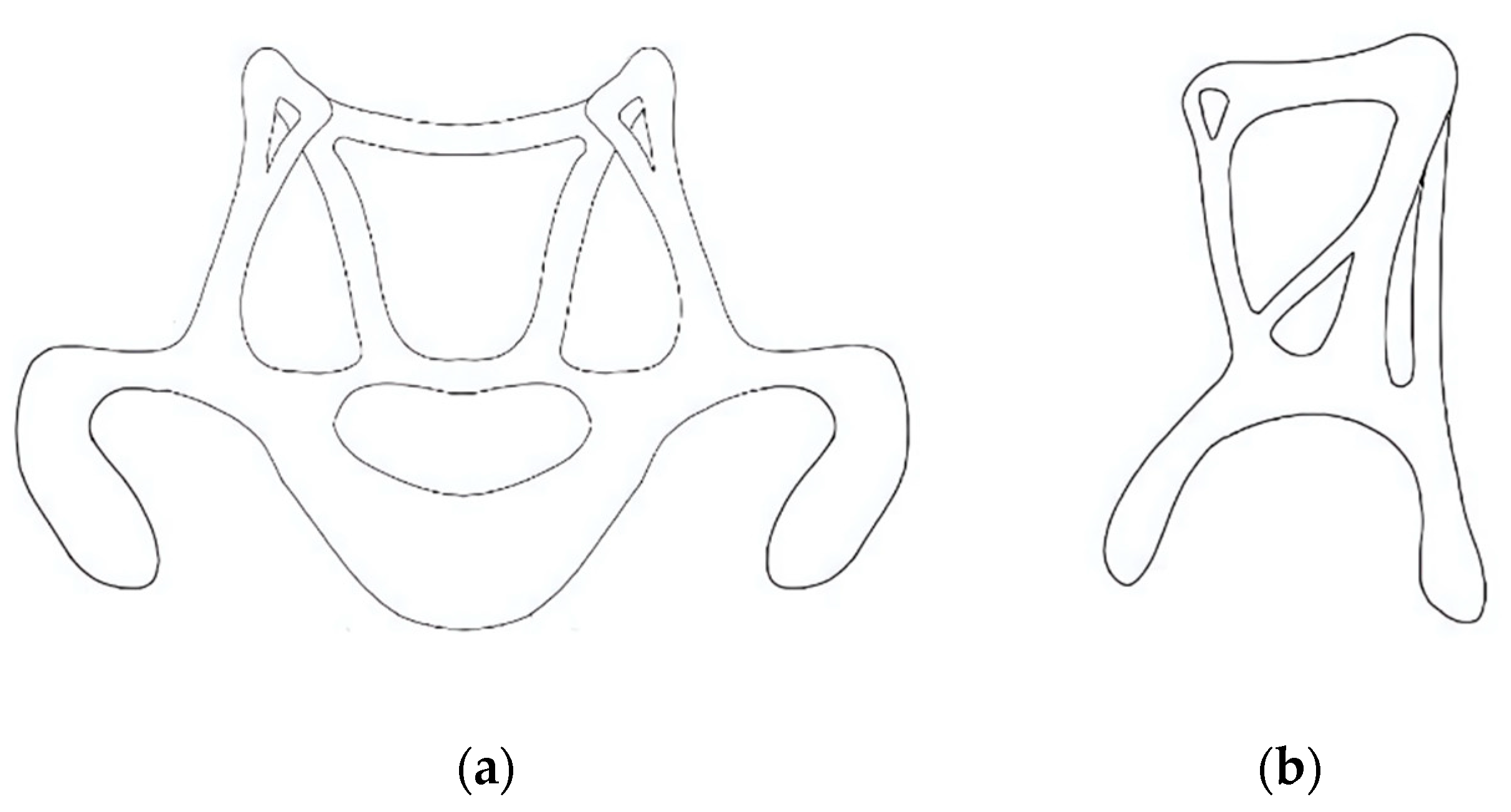 Biomimetics 10 00391 g010