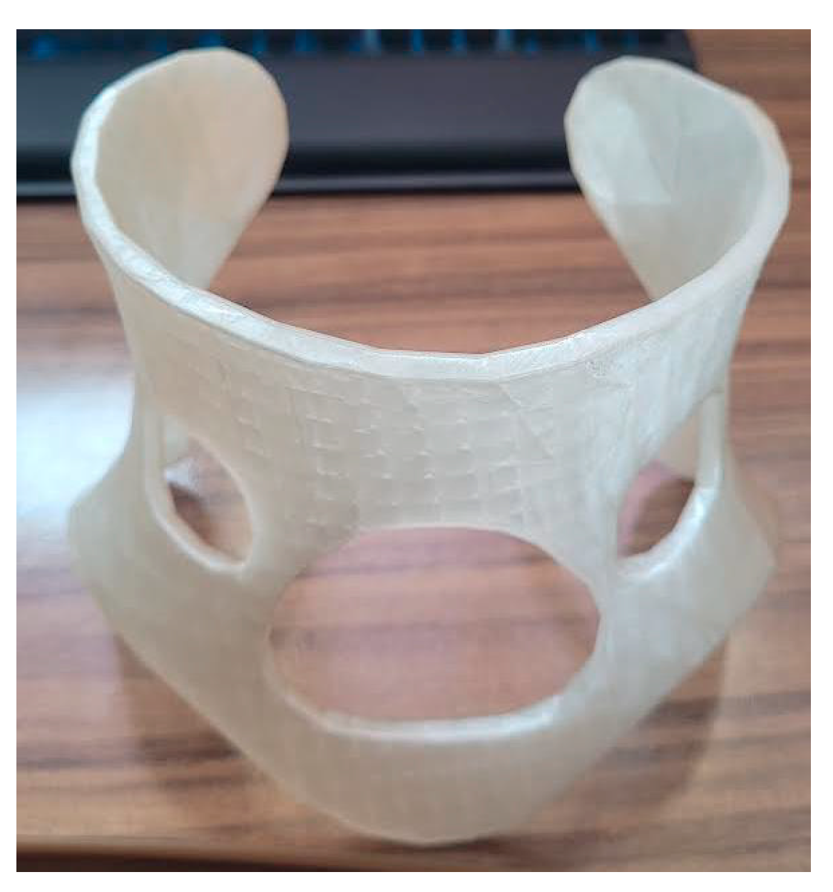 Biomimetics 10 00391 g012