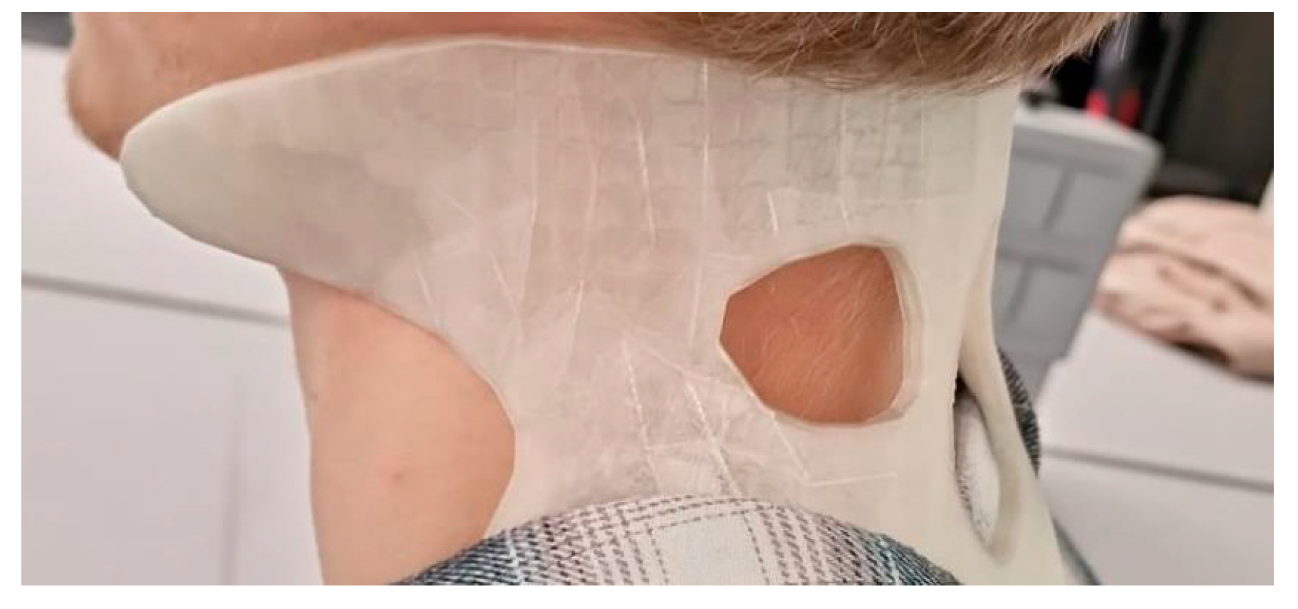 Biomimetics 10 00391 g013