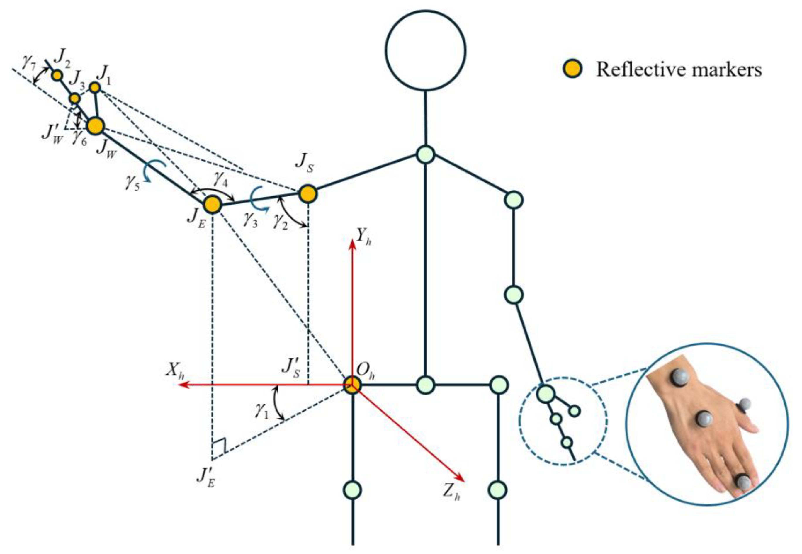 Biomimetics 10 00392 g005