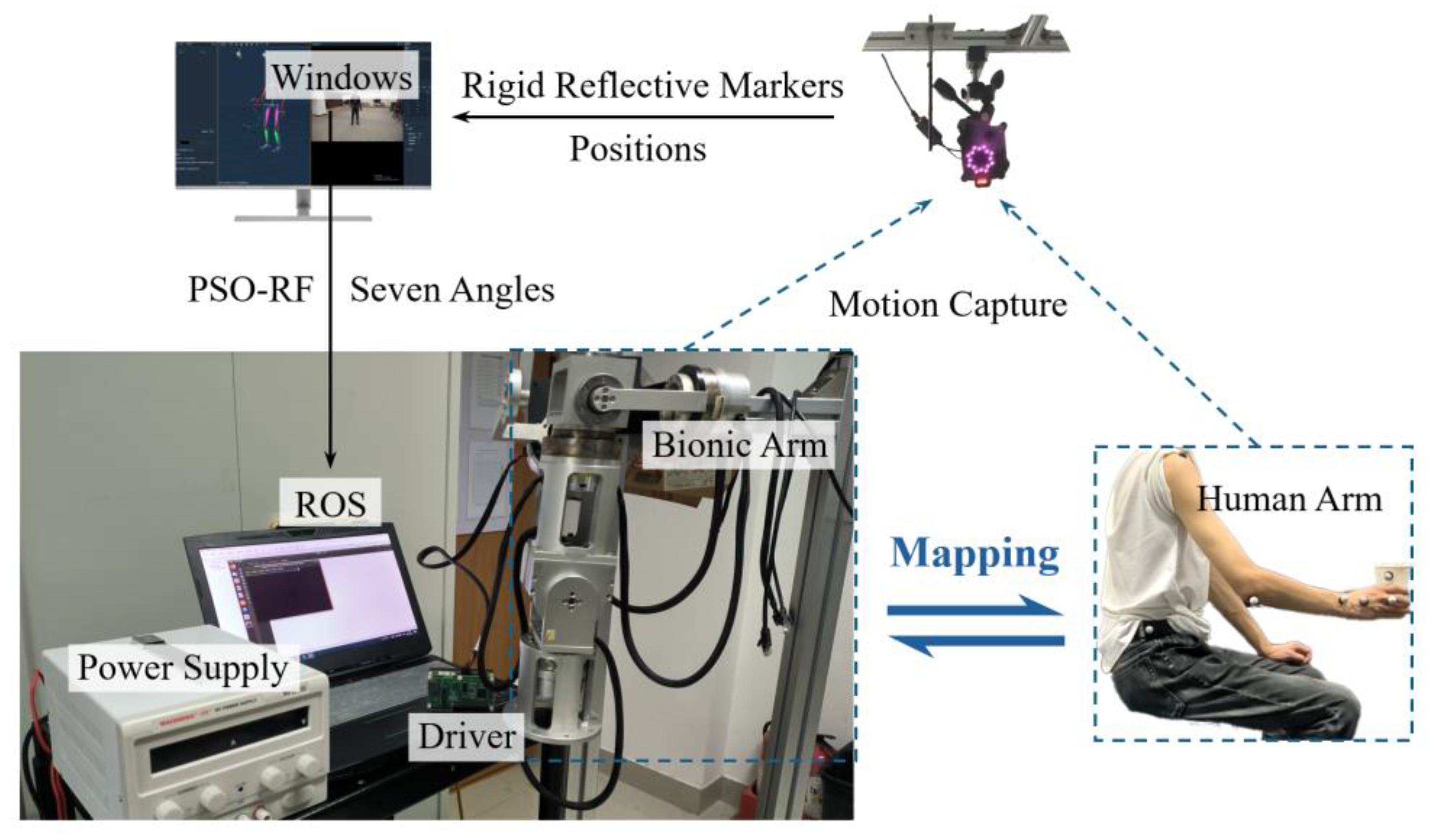 Biomimetics 10 00392 g011