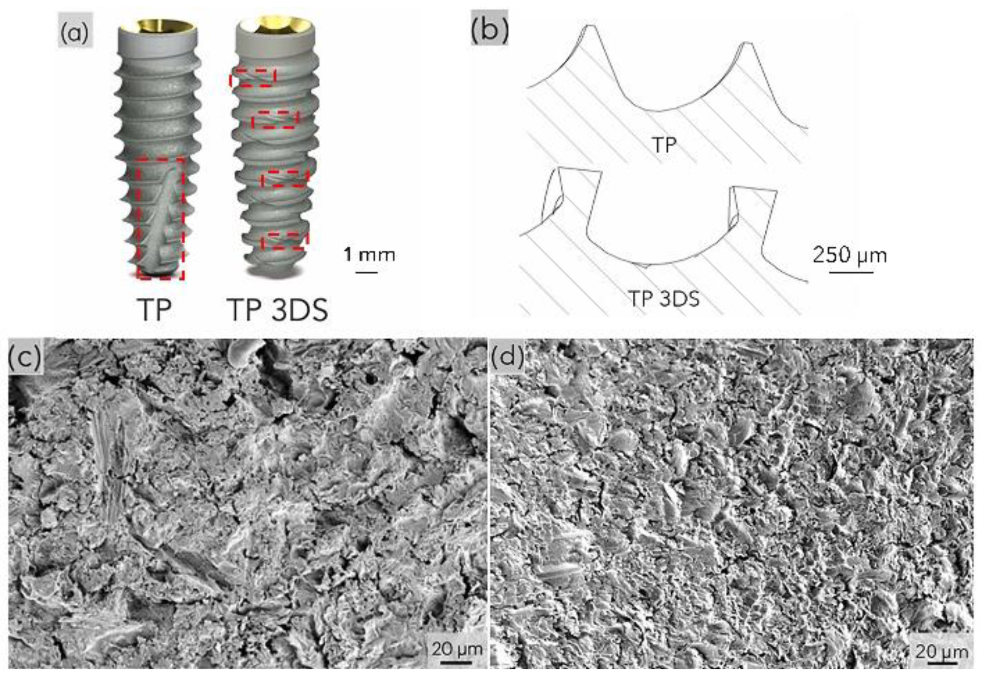 Biomimetics 10 00395 g001 Biomimetics 10 00395 g001