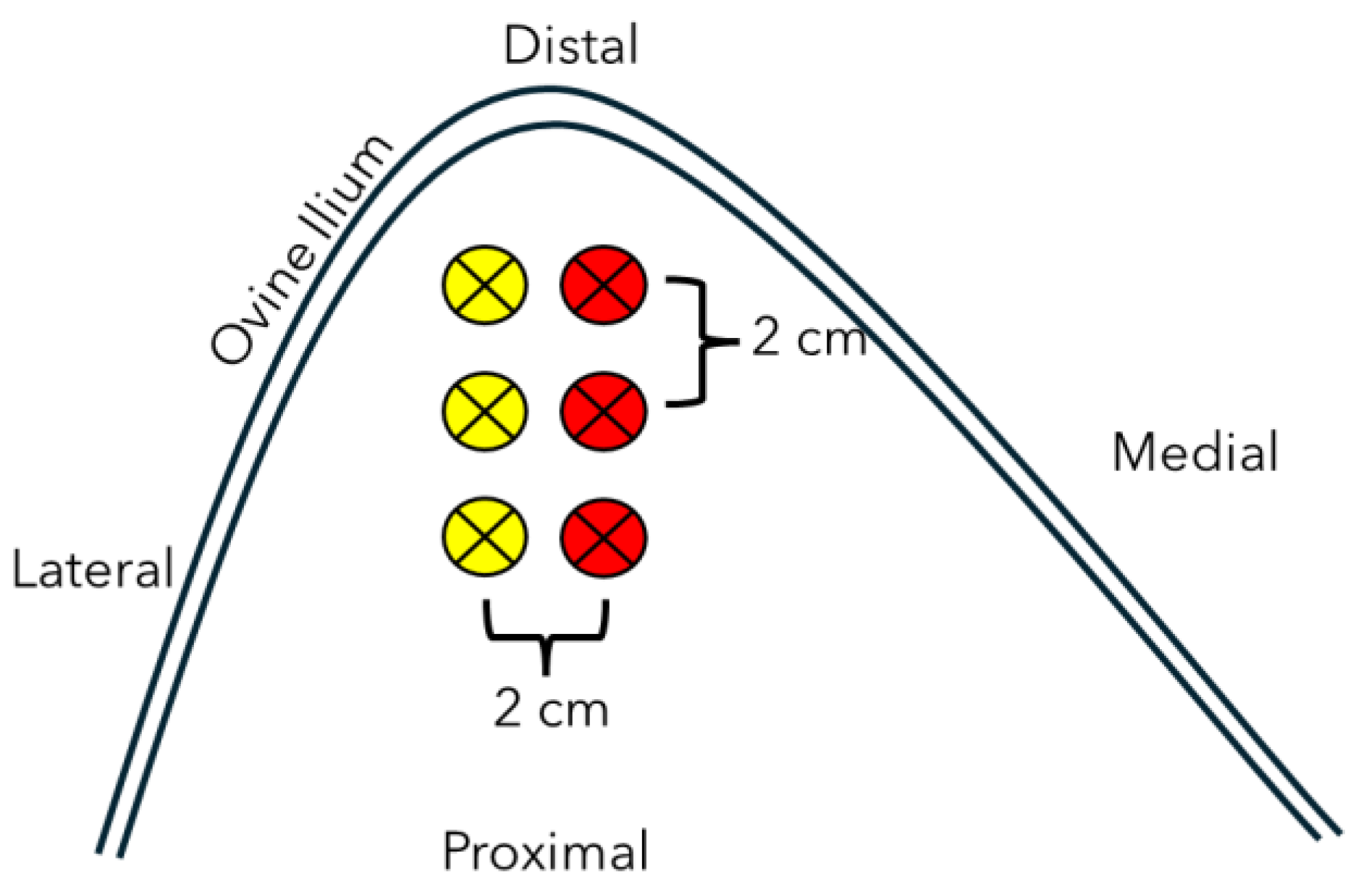 Biomimetics 10 00395 g002 Biomimetics 10 00395 g002