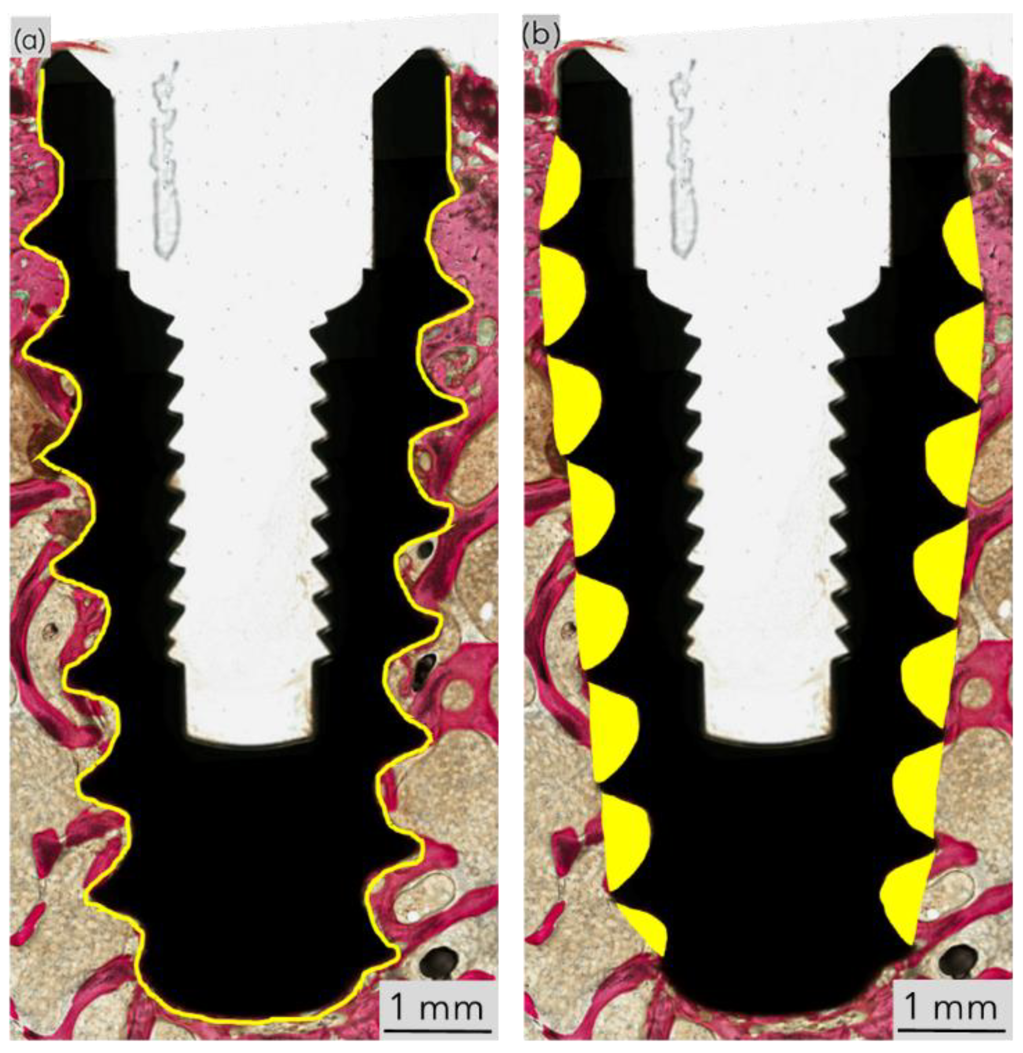 Biomimetics 10 00395 g003 Biomimetics 10 00395 g003