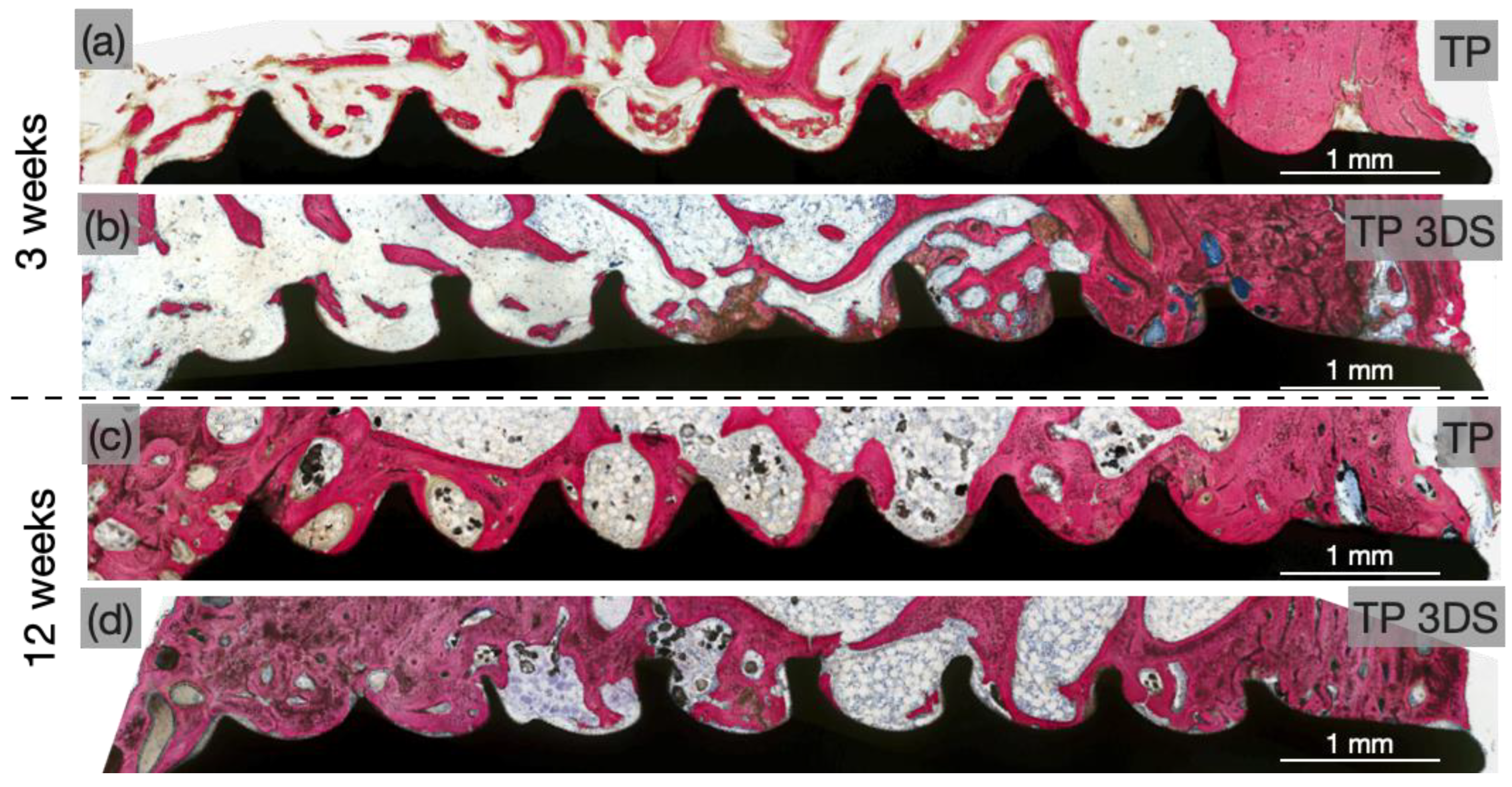 Biomimetics 10 00395 g006 Biomimetics 10 00395 g006