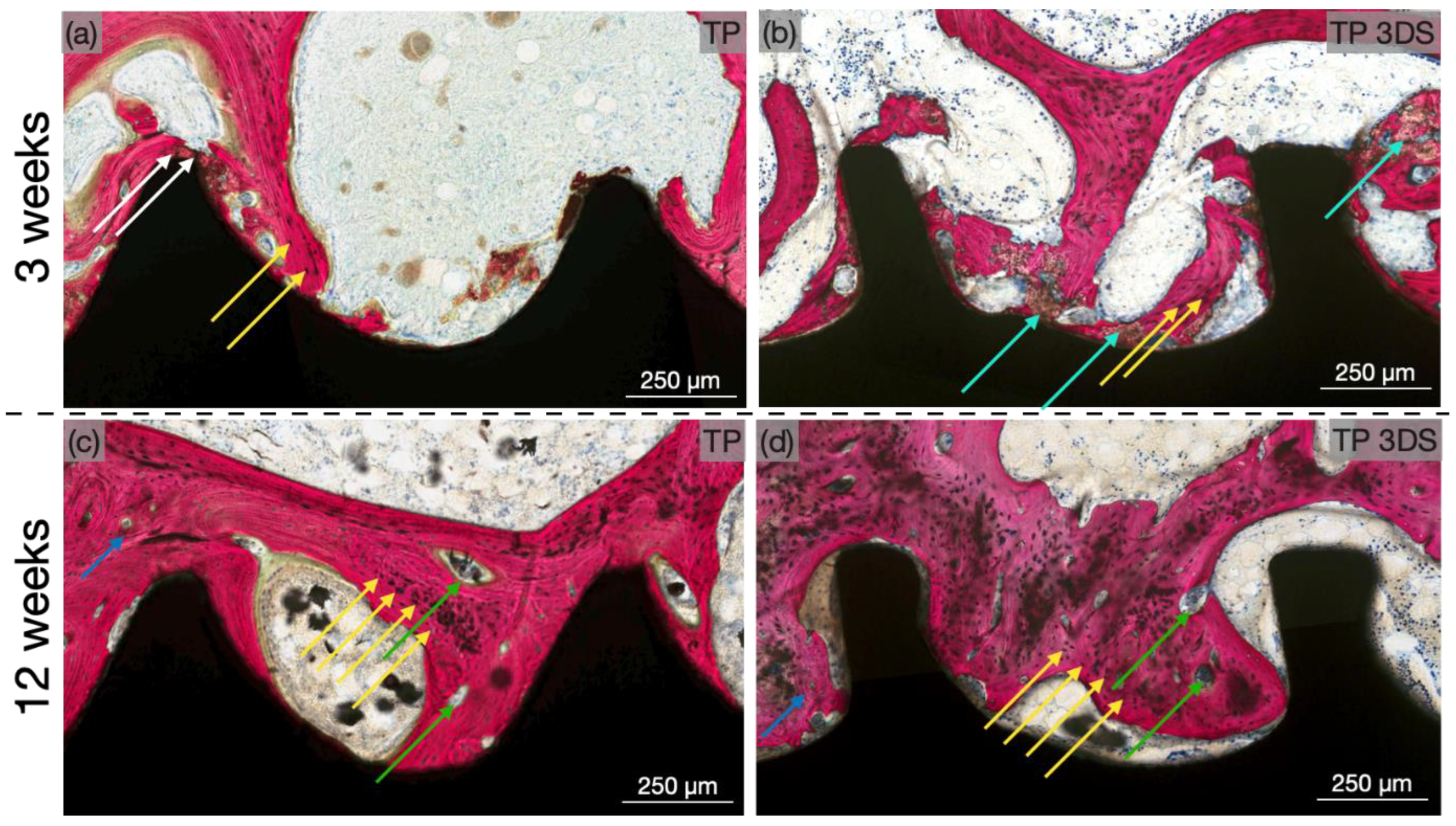 Biomimetics 10 00395 g007 Biomimetics 10 00395 g007