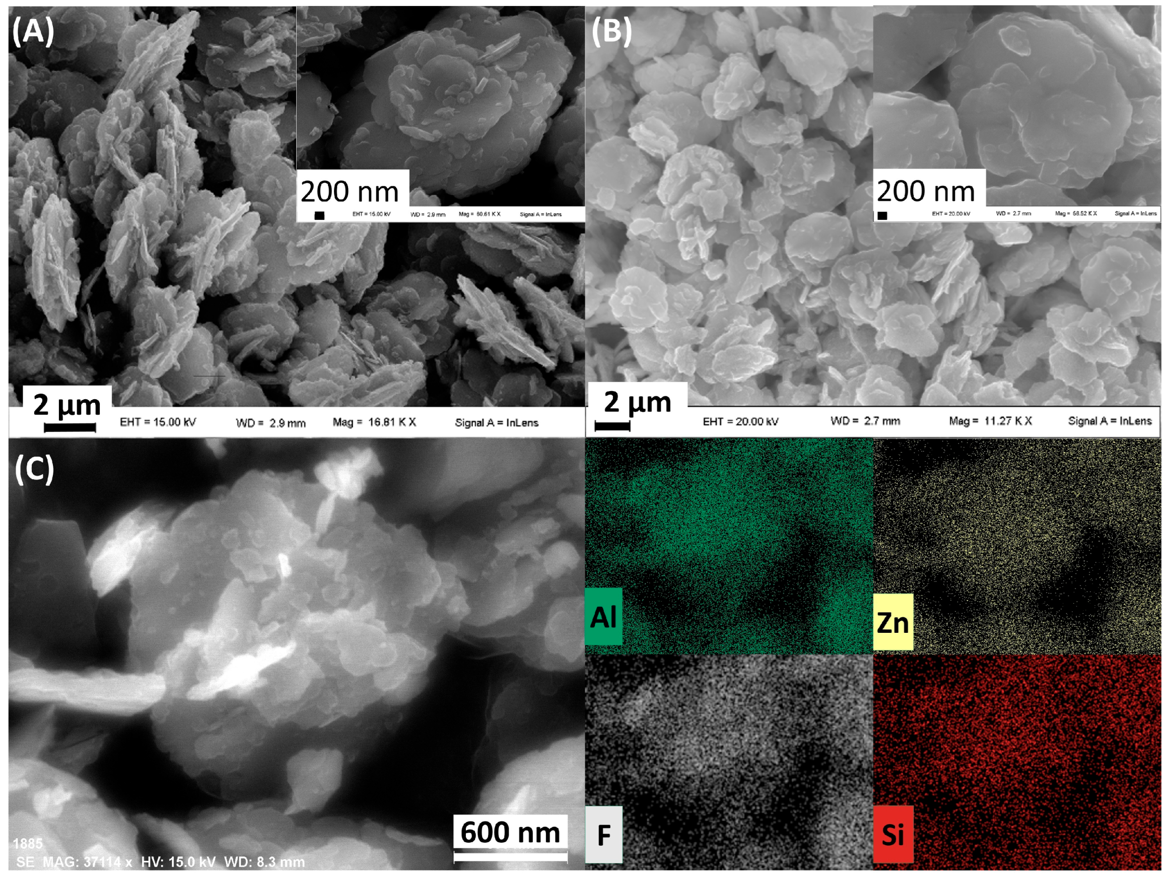 Biomimetics 10 00398 g003