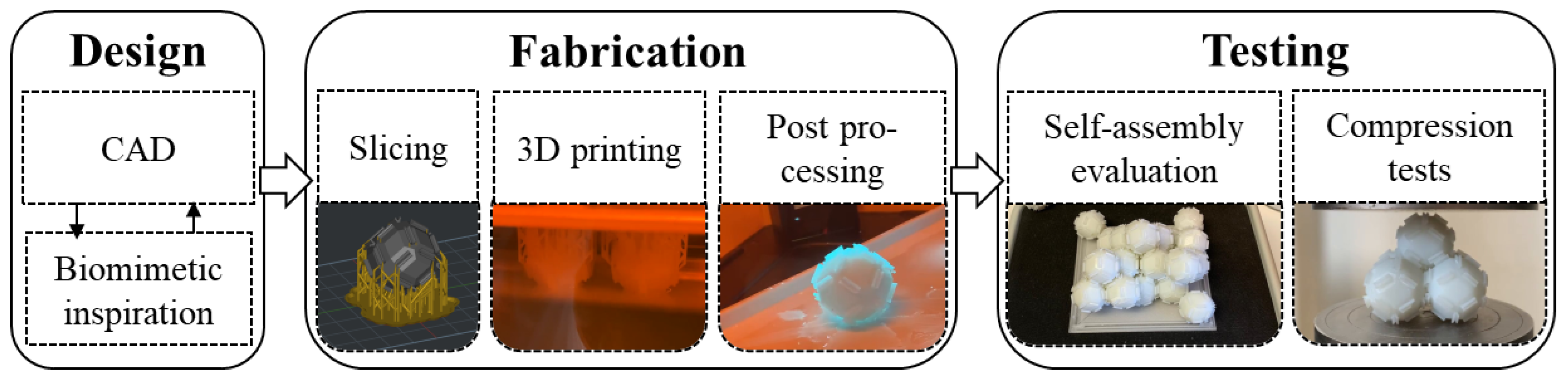 Biomimetics 10 00400 g001