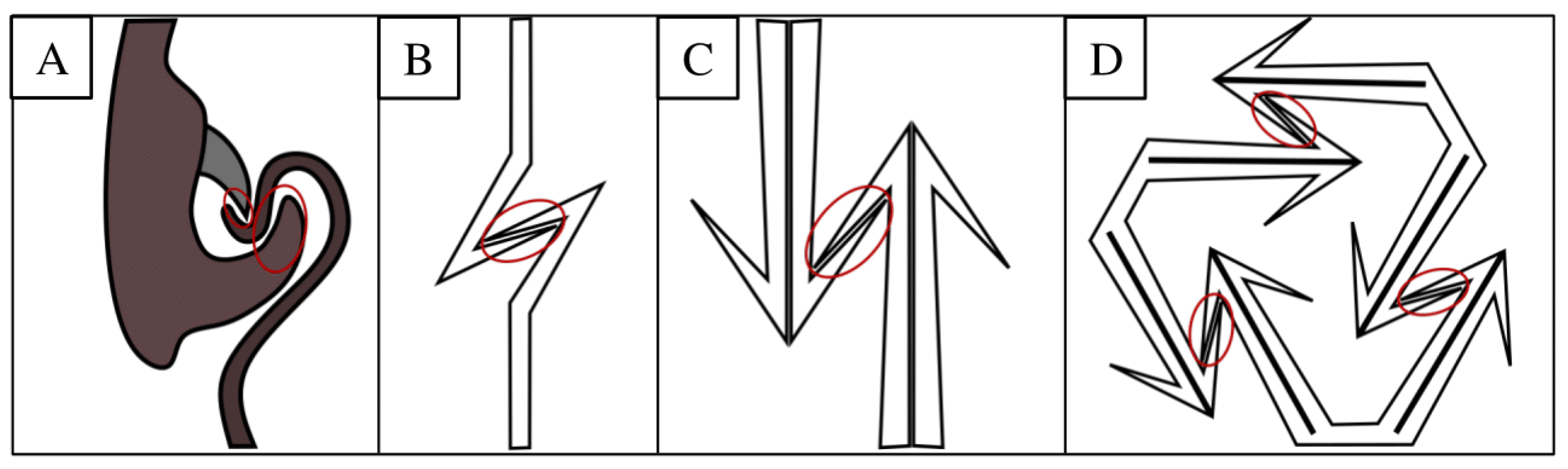Biomimetics 10 00400 g003
