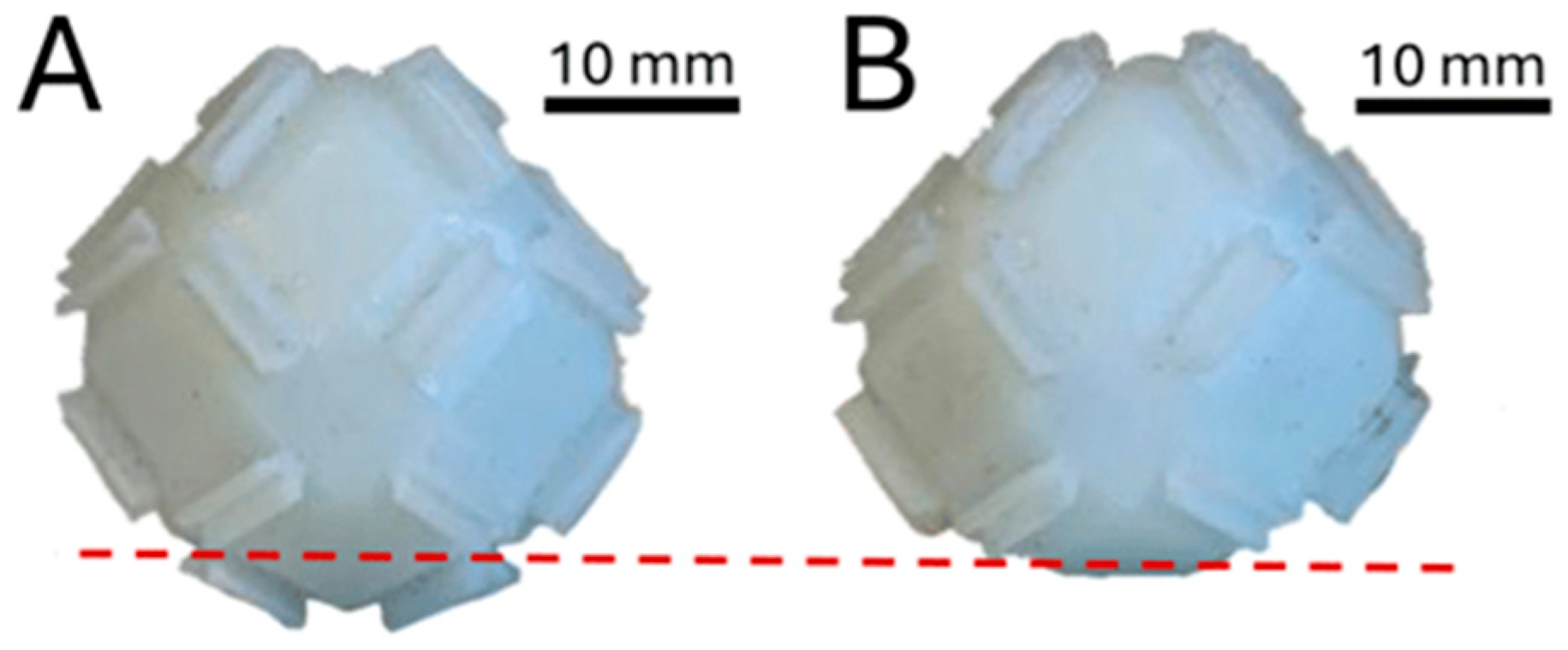 Biomimetics 10 00400 g005