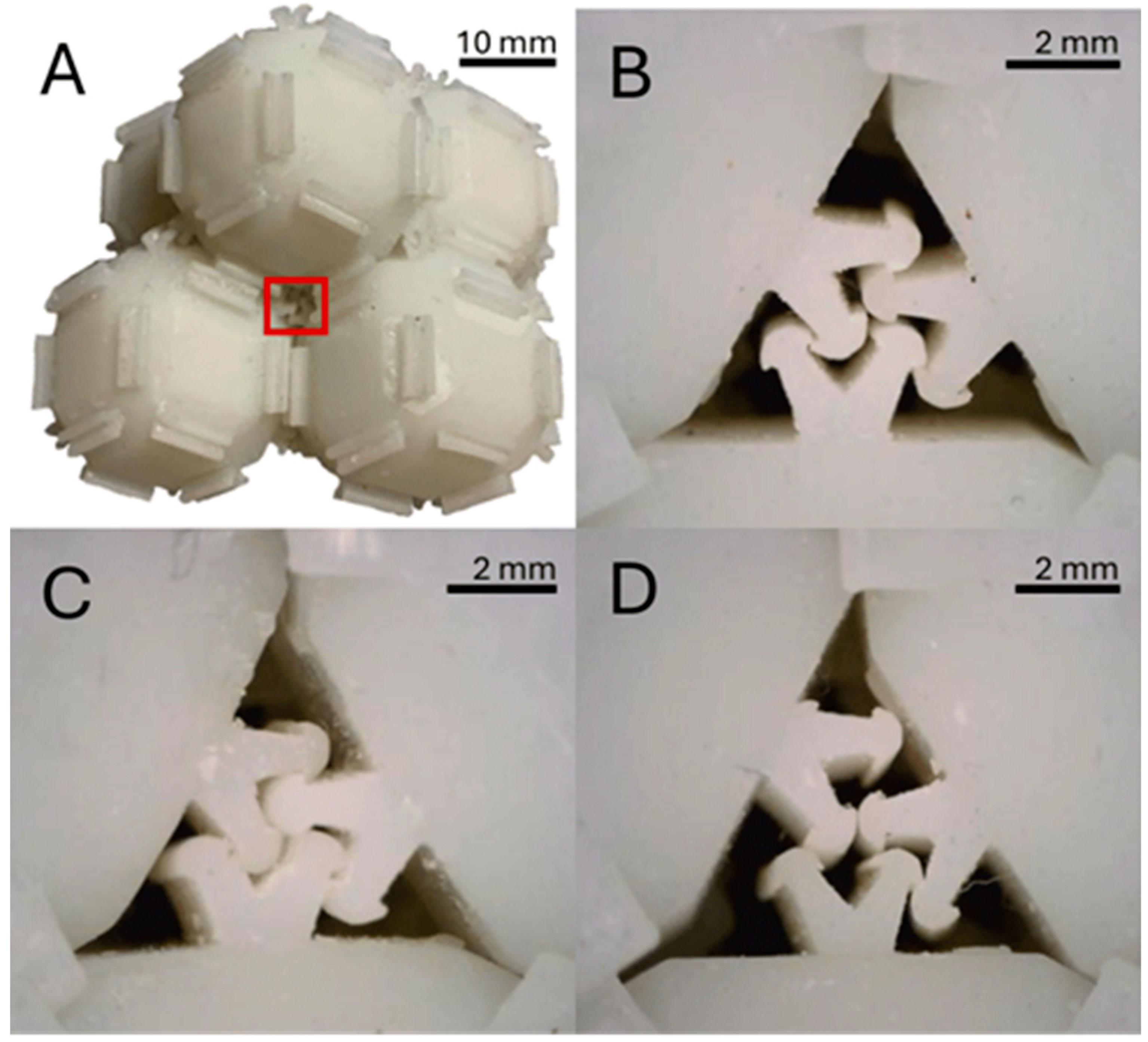 Biomimetics 10 00400 g007
