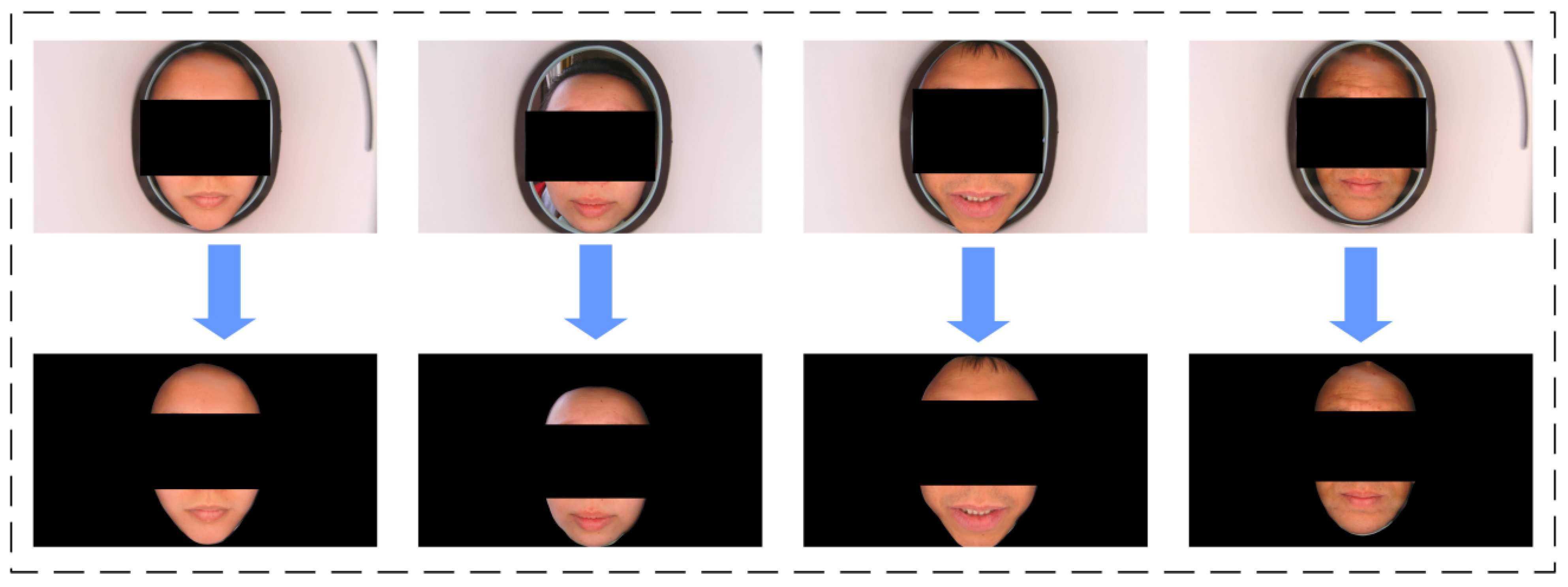 Biomimetics 10 00402 g001